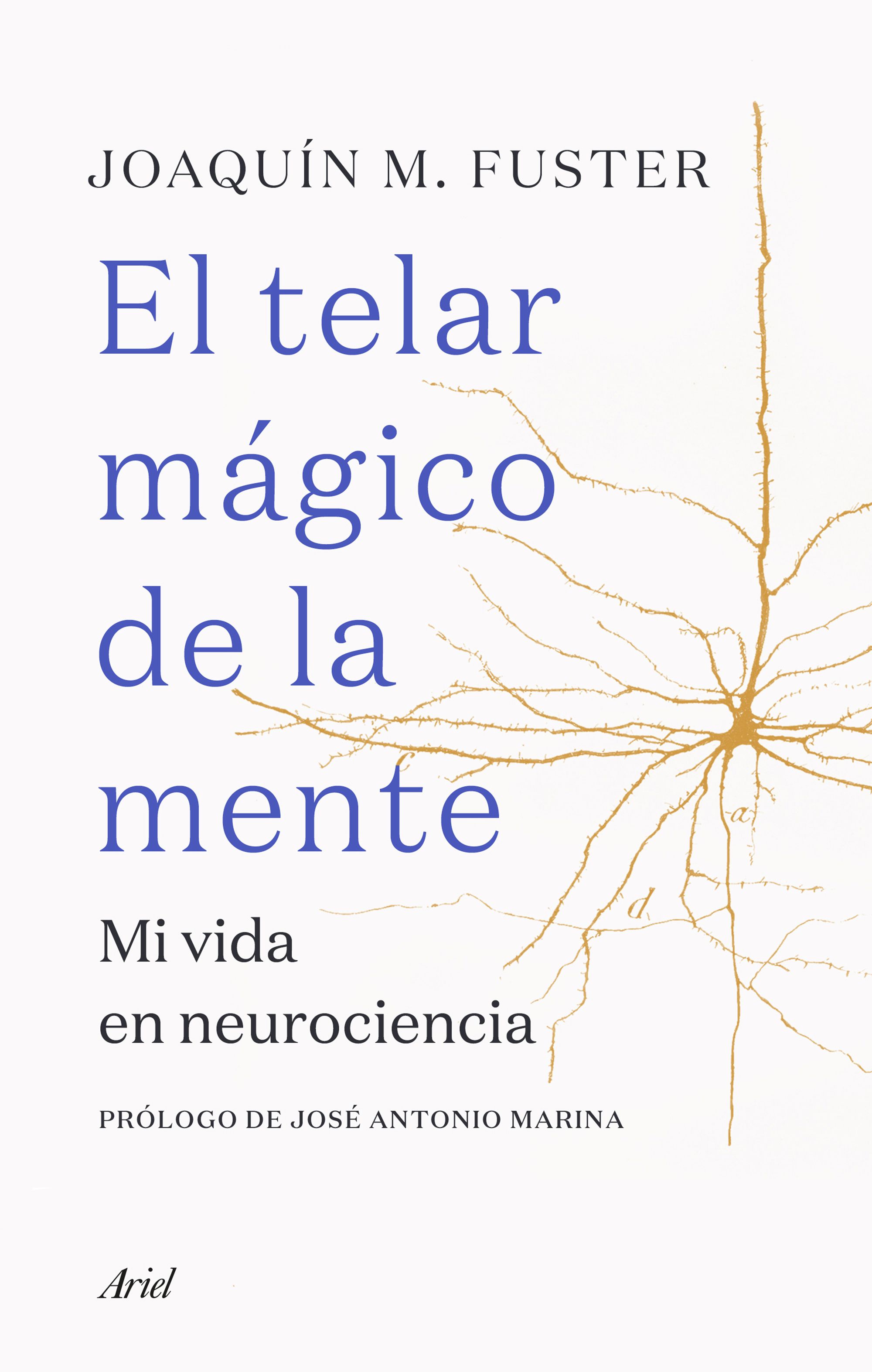 El telar mágico de la mente