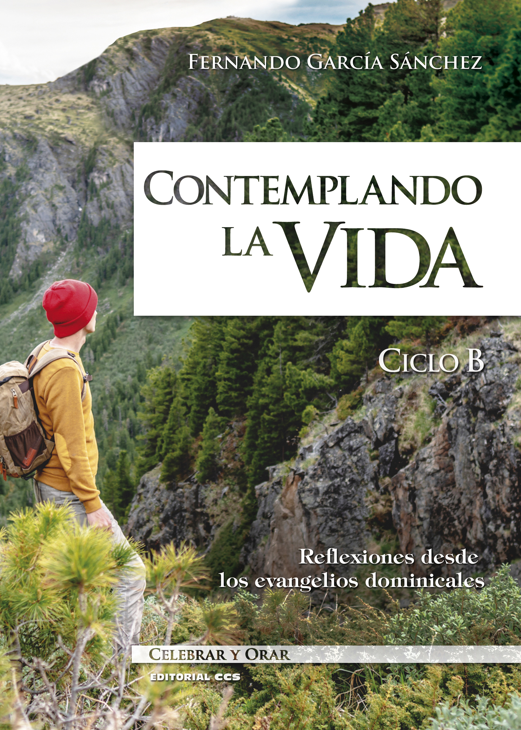 Contemplando la vida. Ciclo B 