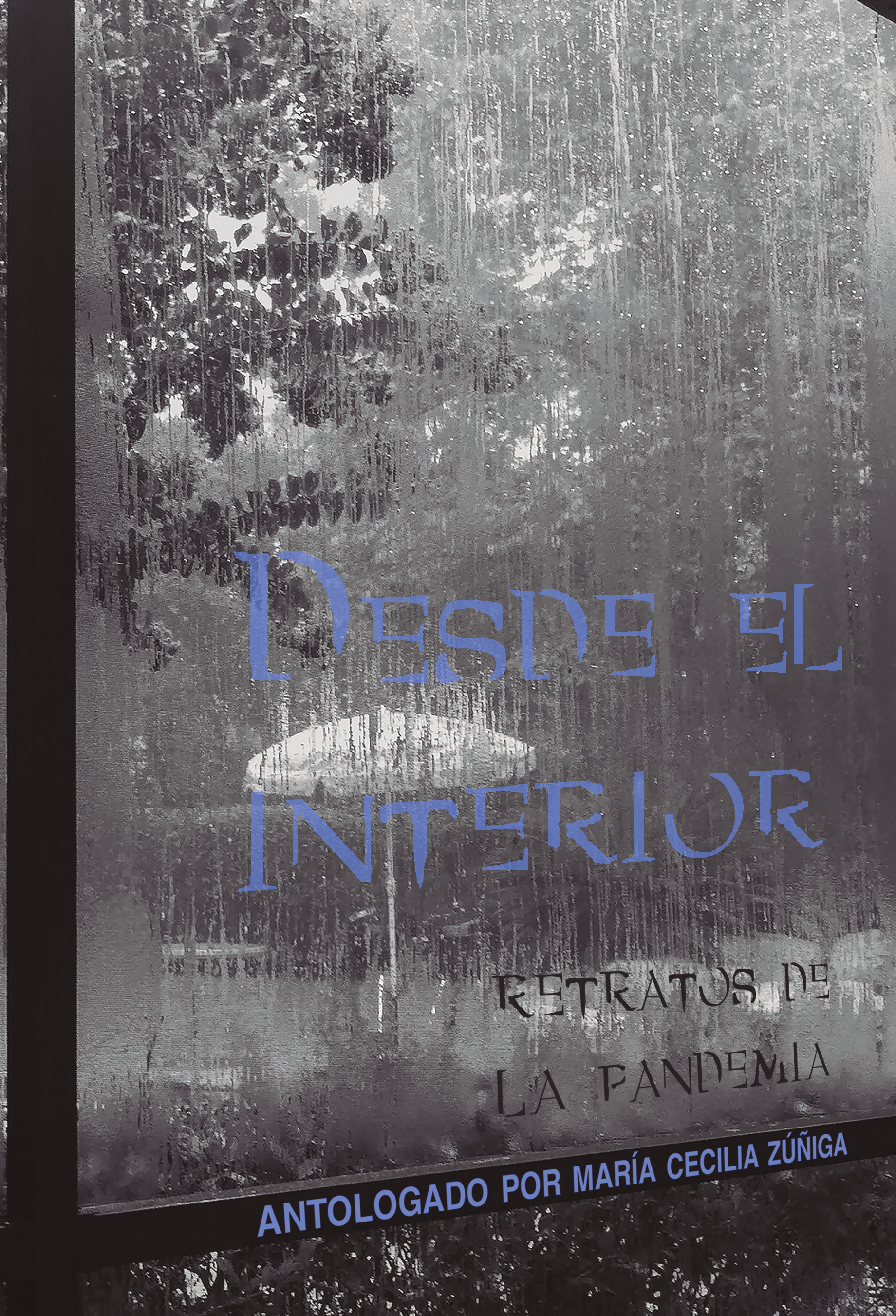 Desde el interior