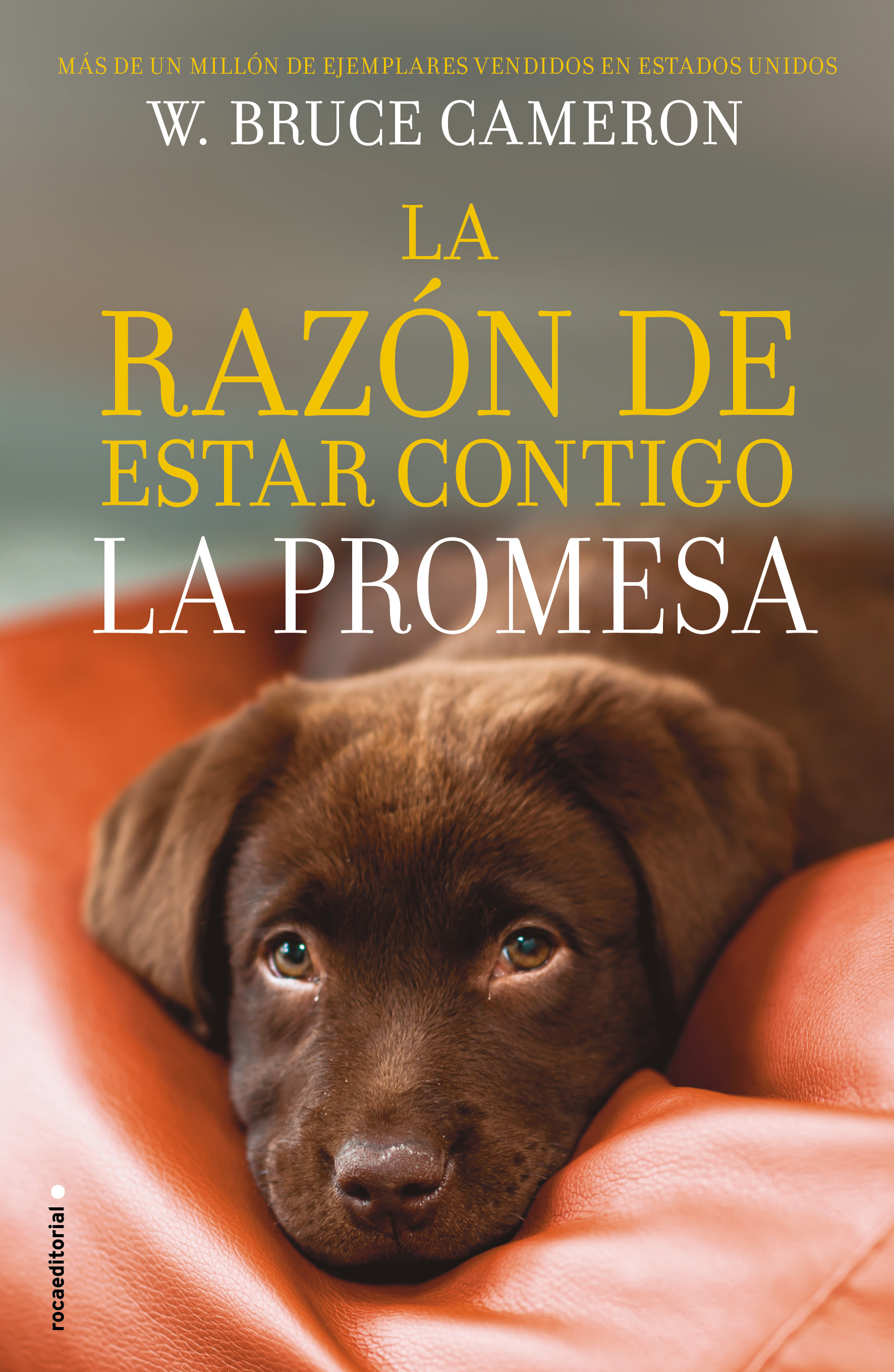 La promesa ( La razón de estar contigo 3 )