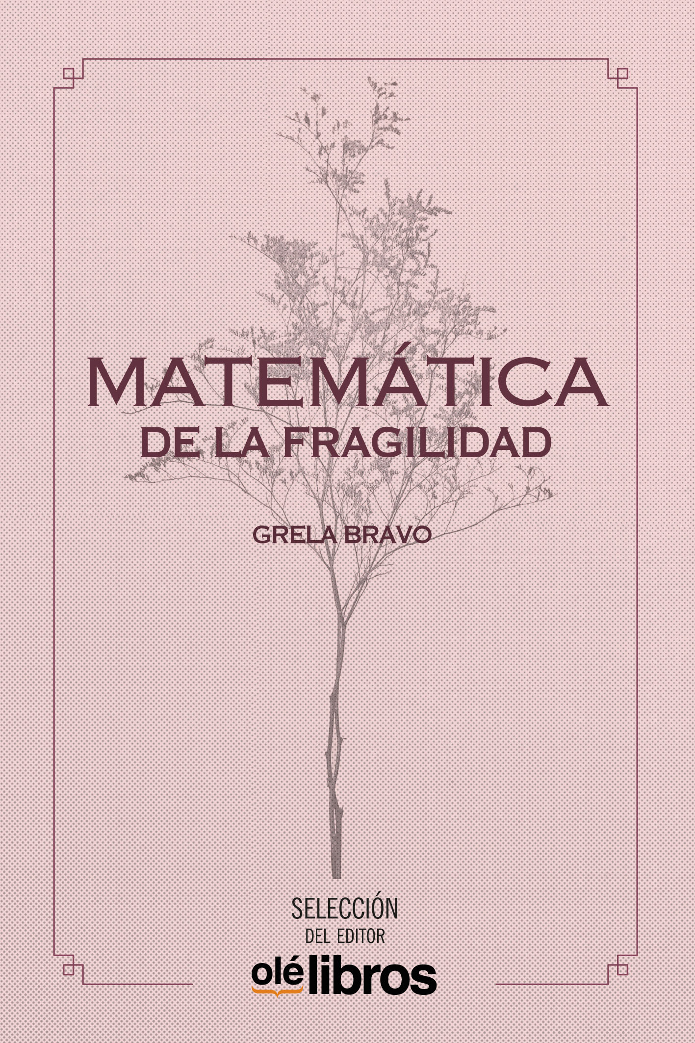Matemática de la fragilidad