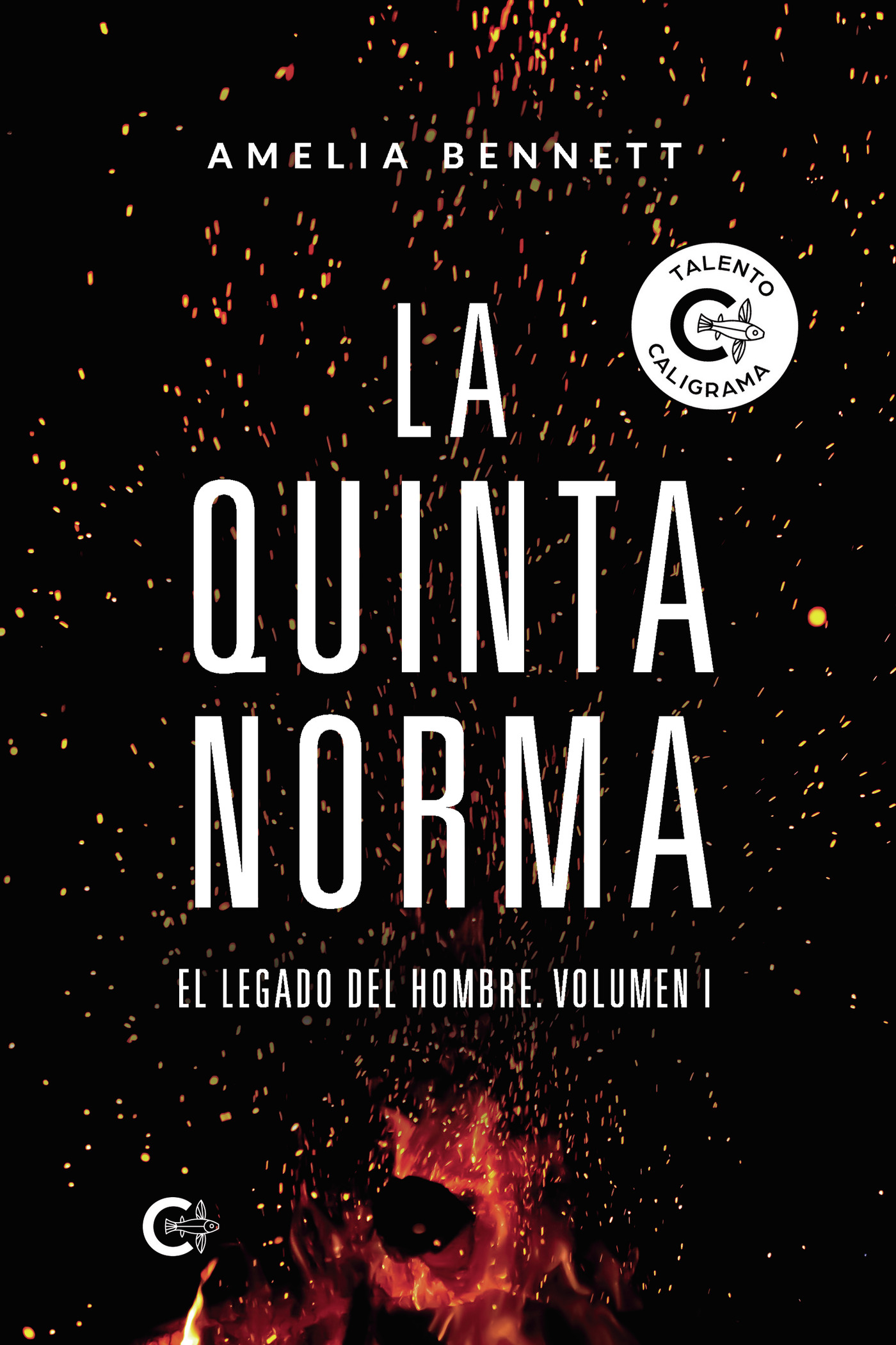 La quinta norma