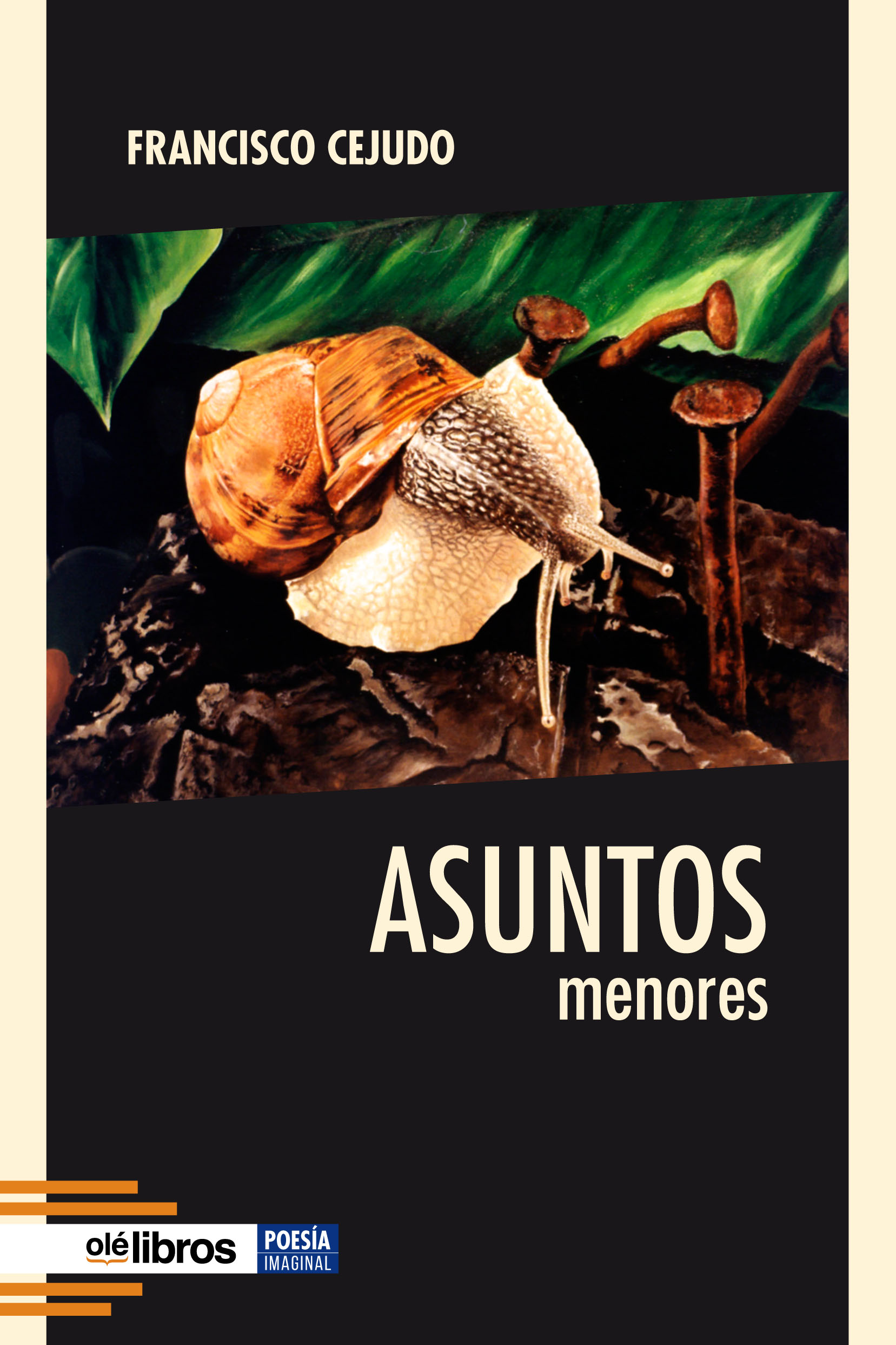 Asuntos menores