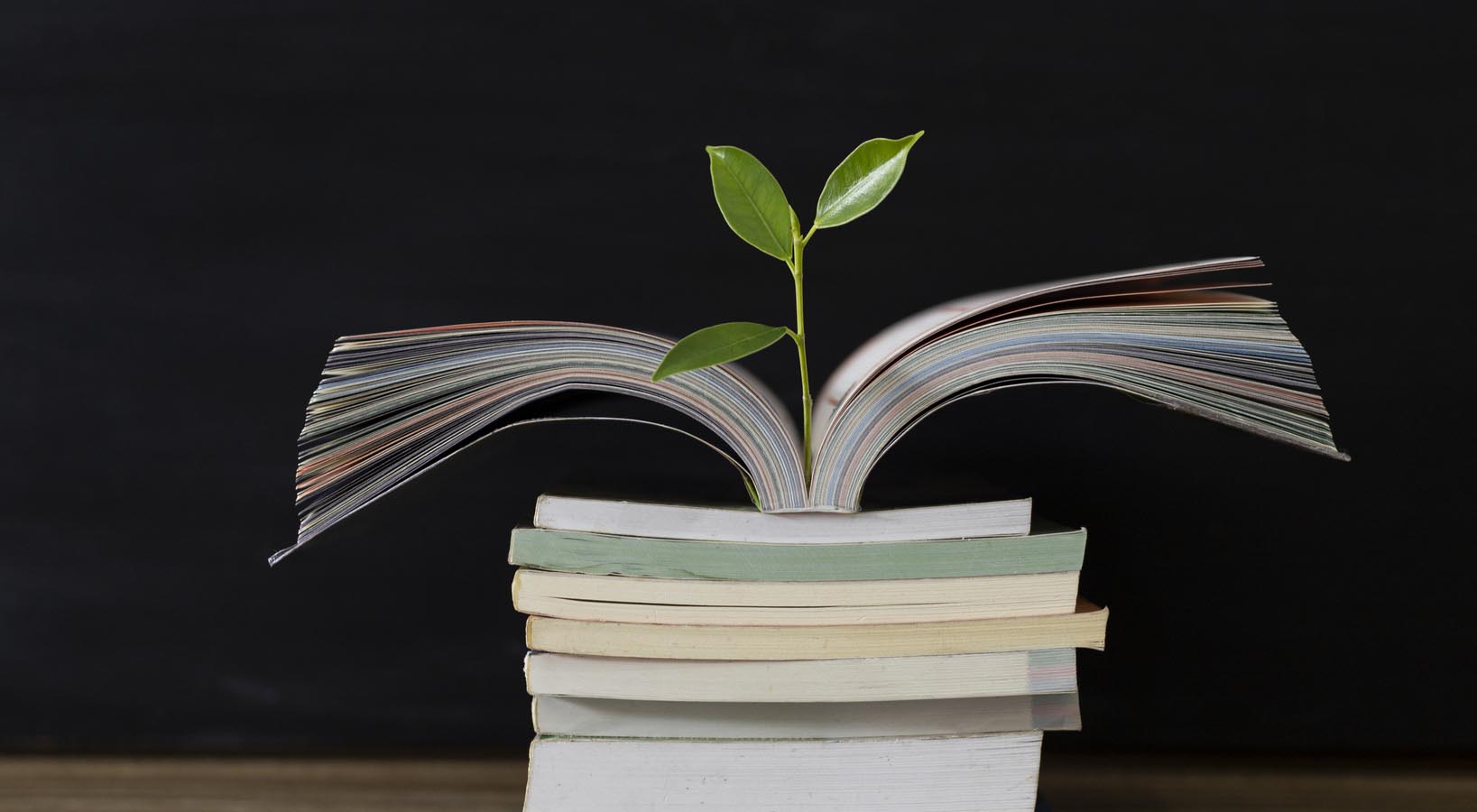 Los debuts literarios más esperanzadores del año