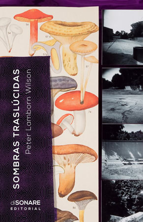 Sombras traslúcidas