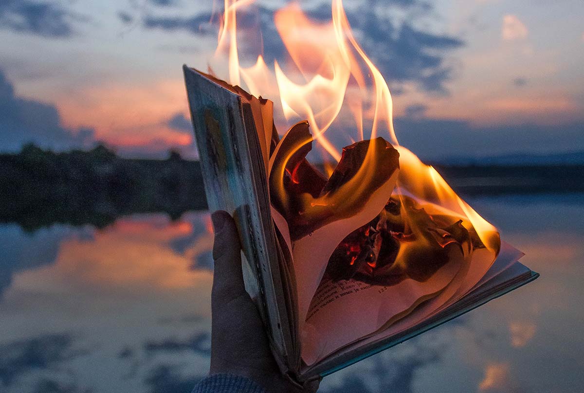 Libros recientes recomendados para los que desafían los cánones