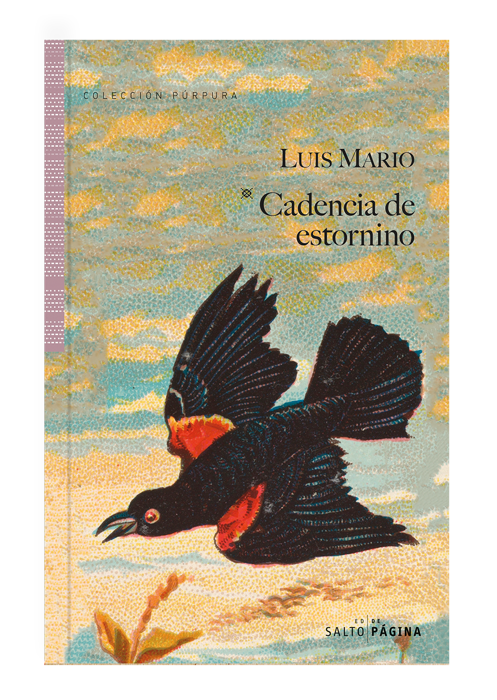 Cadencia de estornino