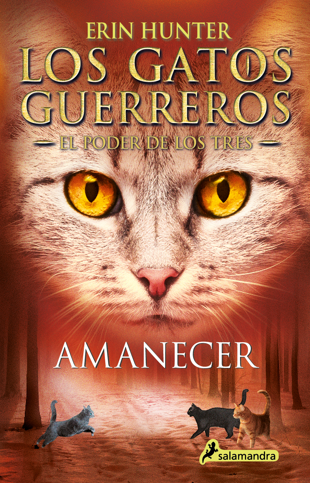 Los Gatos Guerreros | El Poder de los Tres 6 - Amanecer