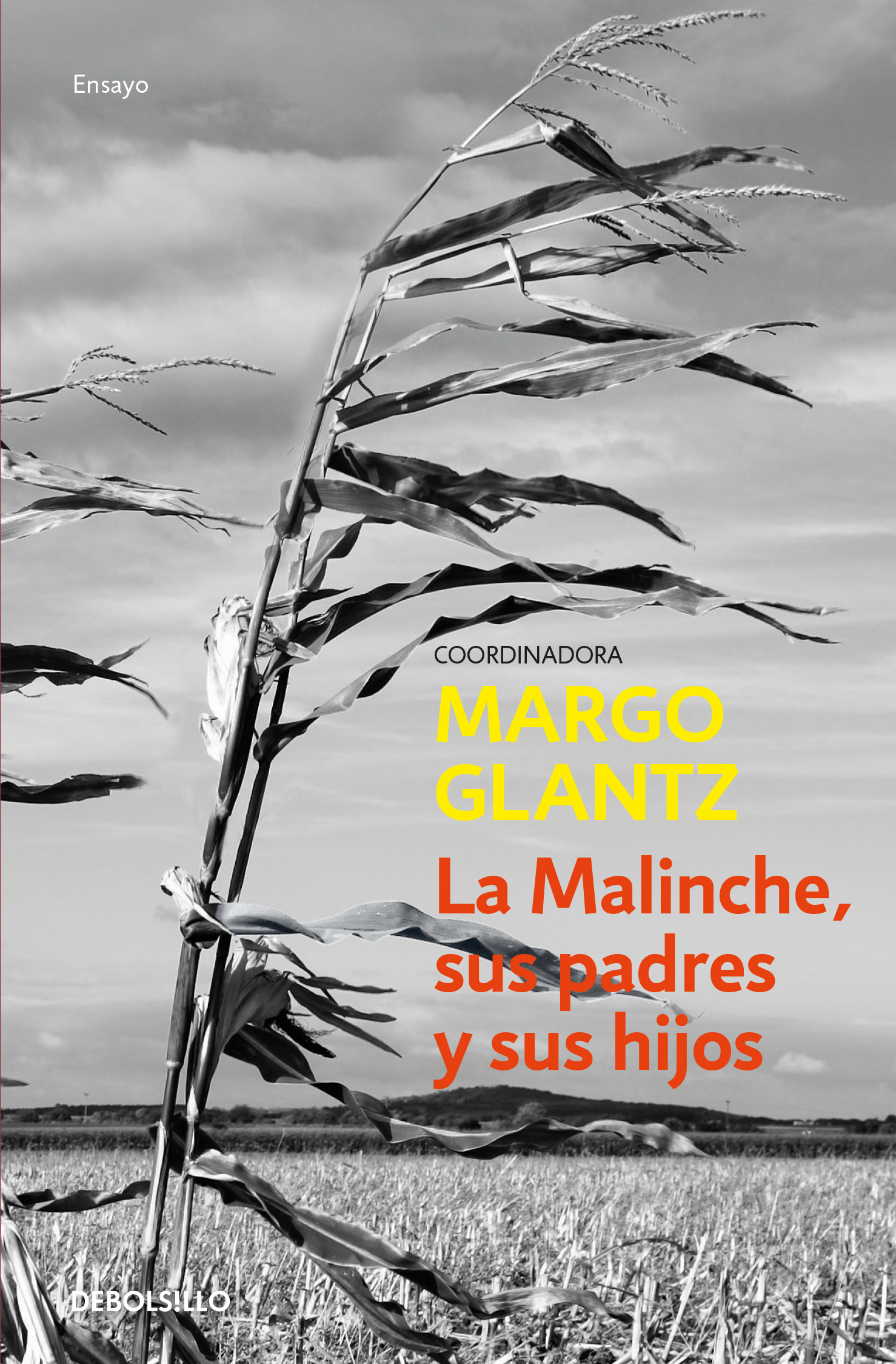 La Malinche sus padres y sus hijos