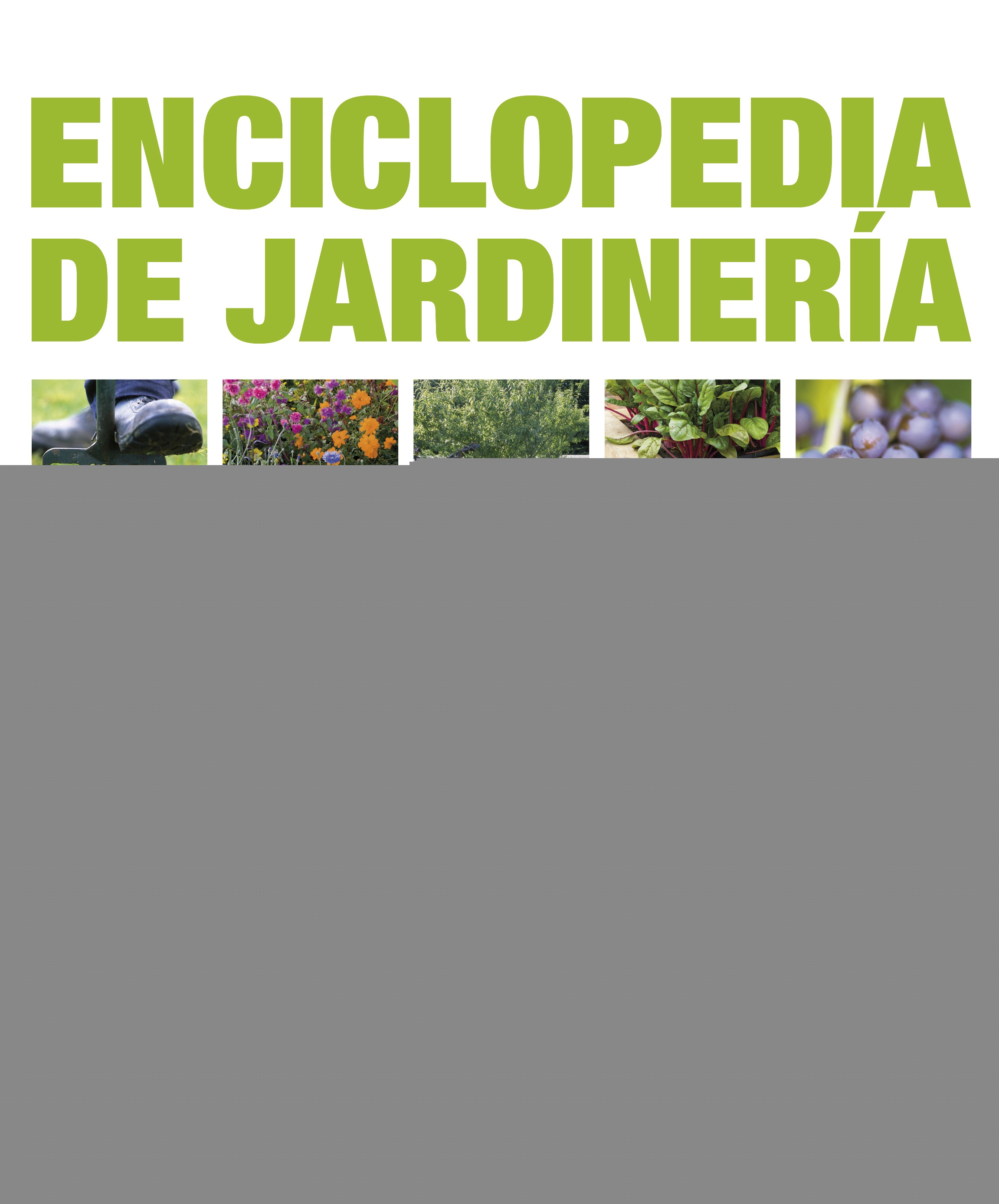 Enciclopedia de jardinería. Ideas para cultivar