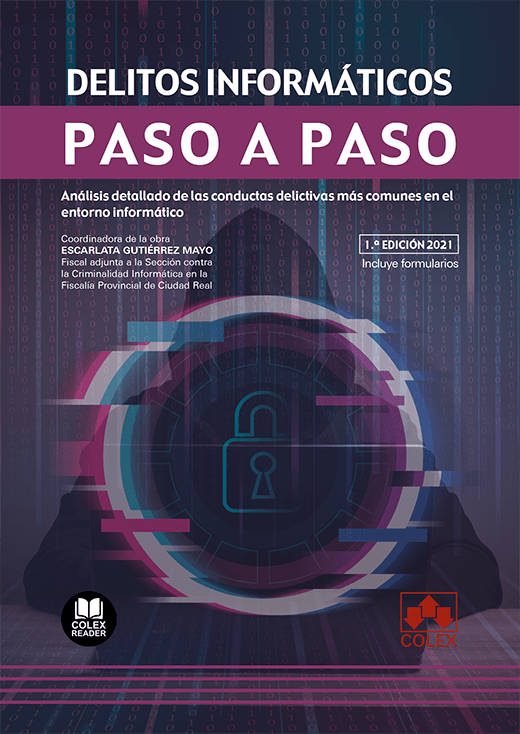 Delitos informáticos. Paso a paso