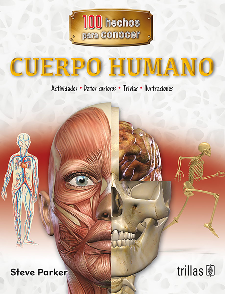 Cuerpo humano