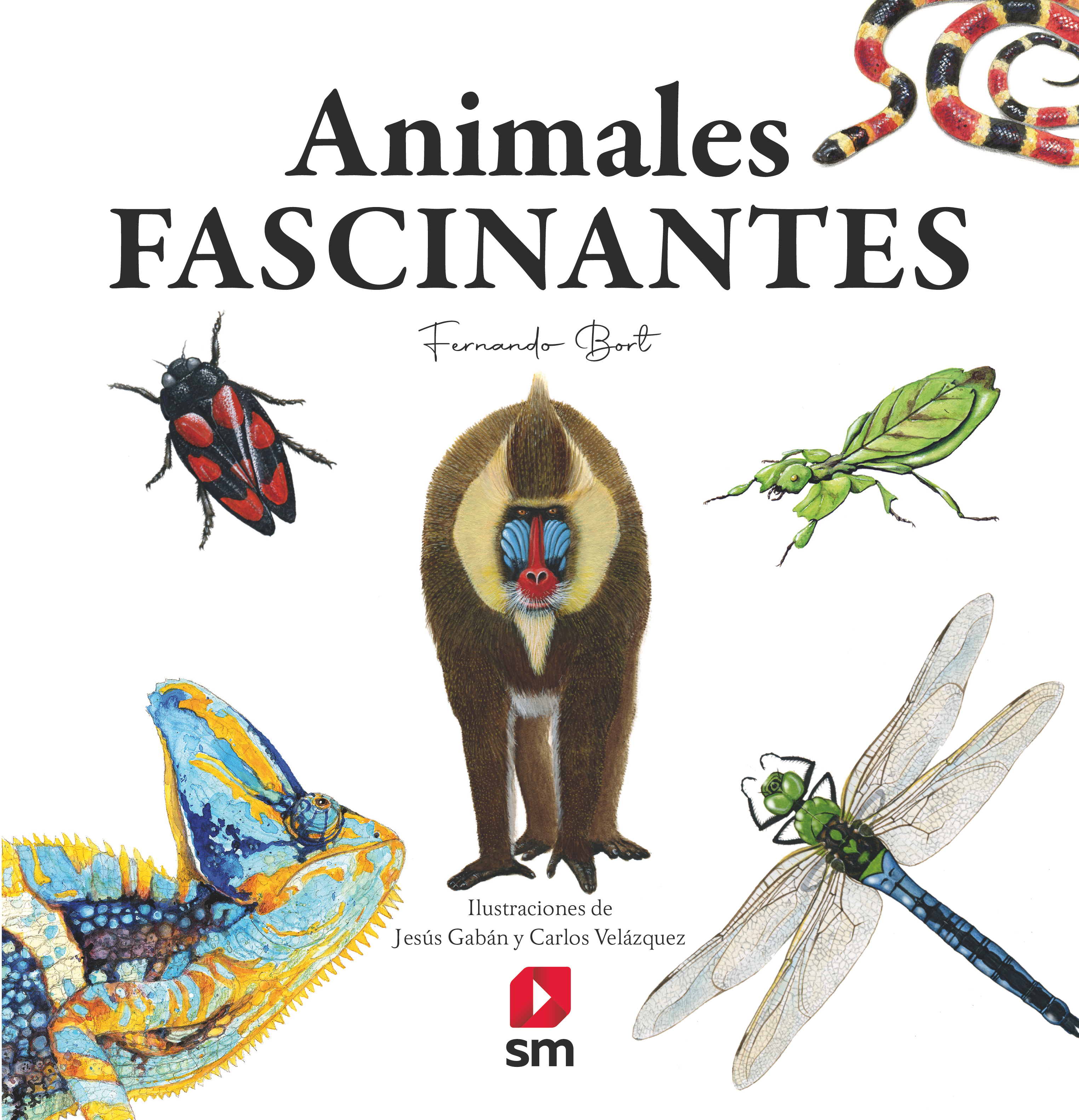 Animales fascinantes