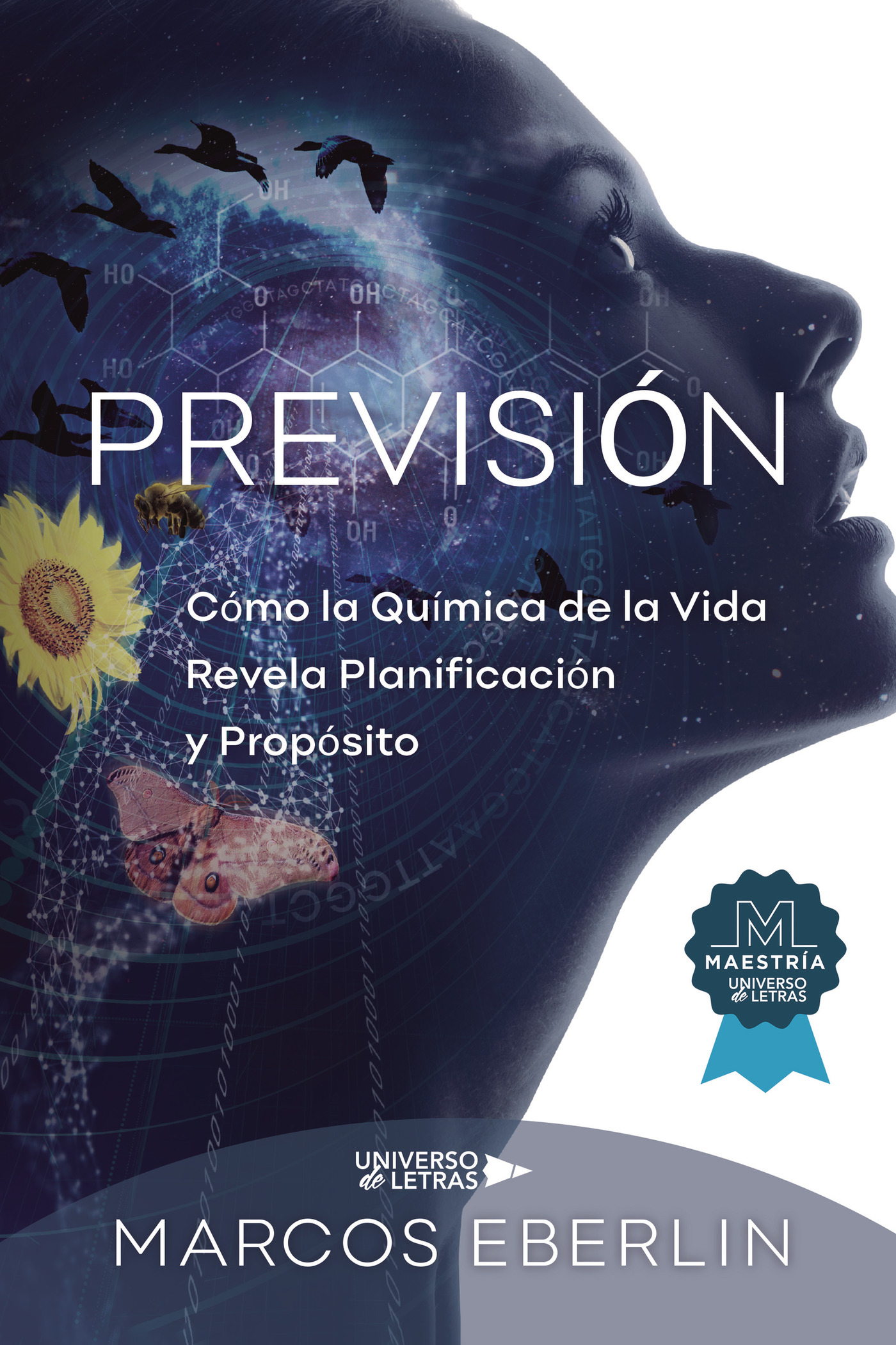 Previsión