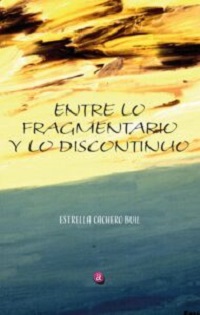 ENTRE LO FRAGMENTARIO Y LO DISCONTÍNUO