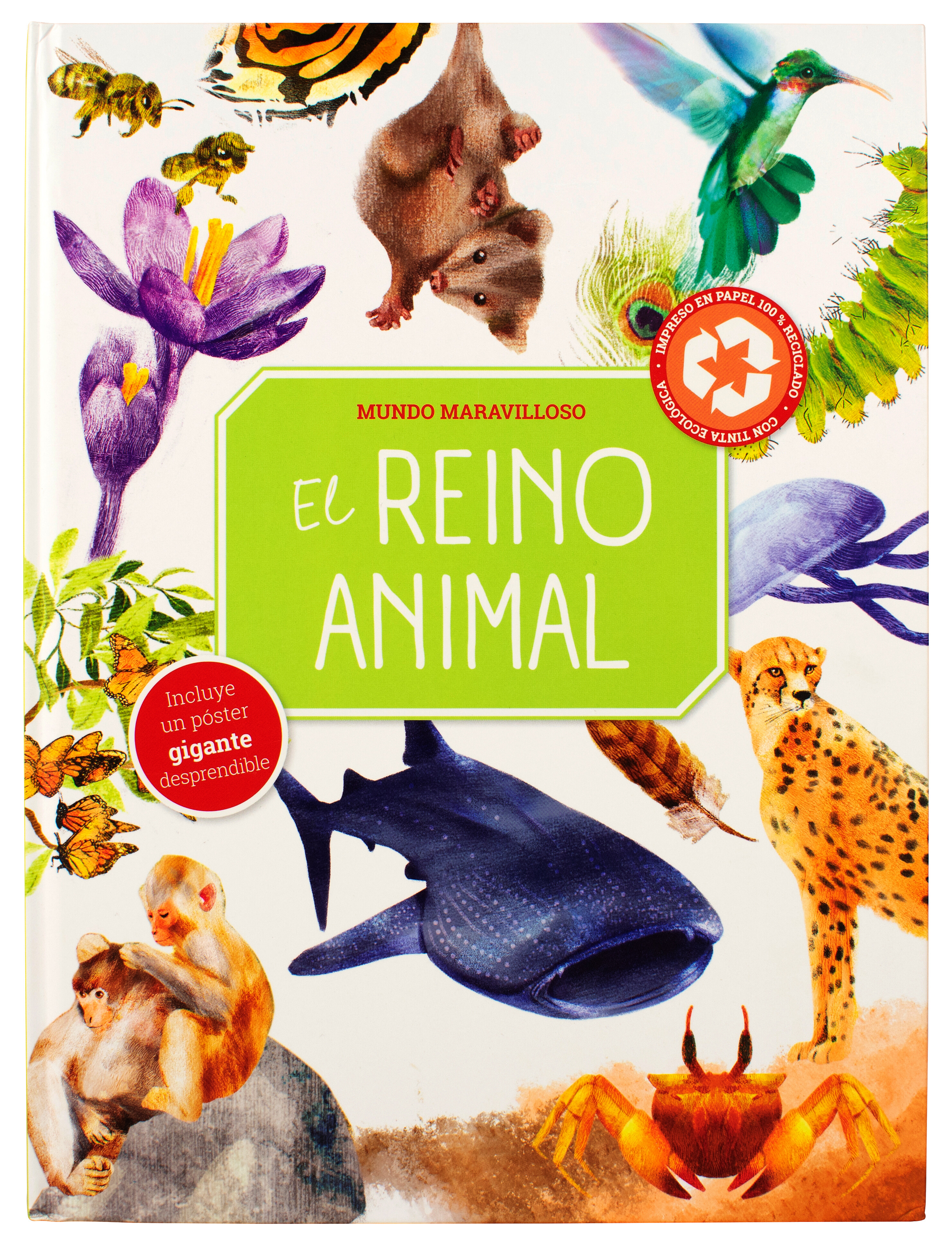 Mundo Maravilloso: El Reino Animal