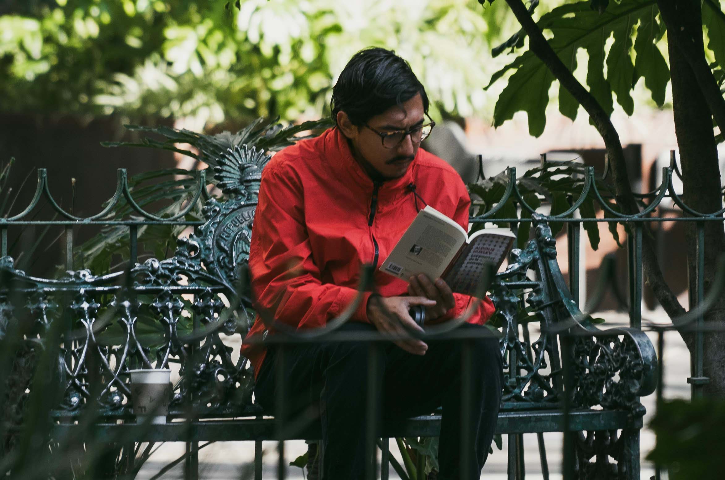 Libros para entender el México actual