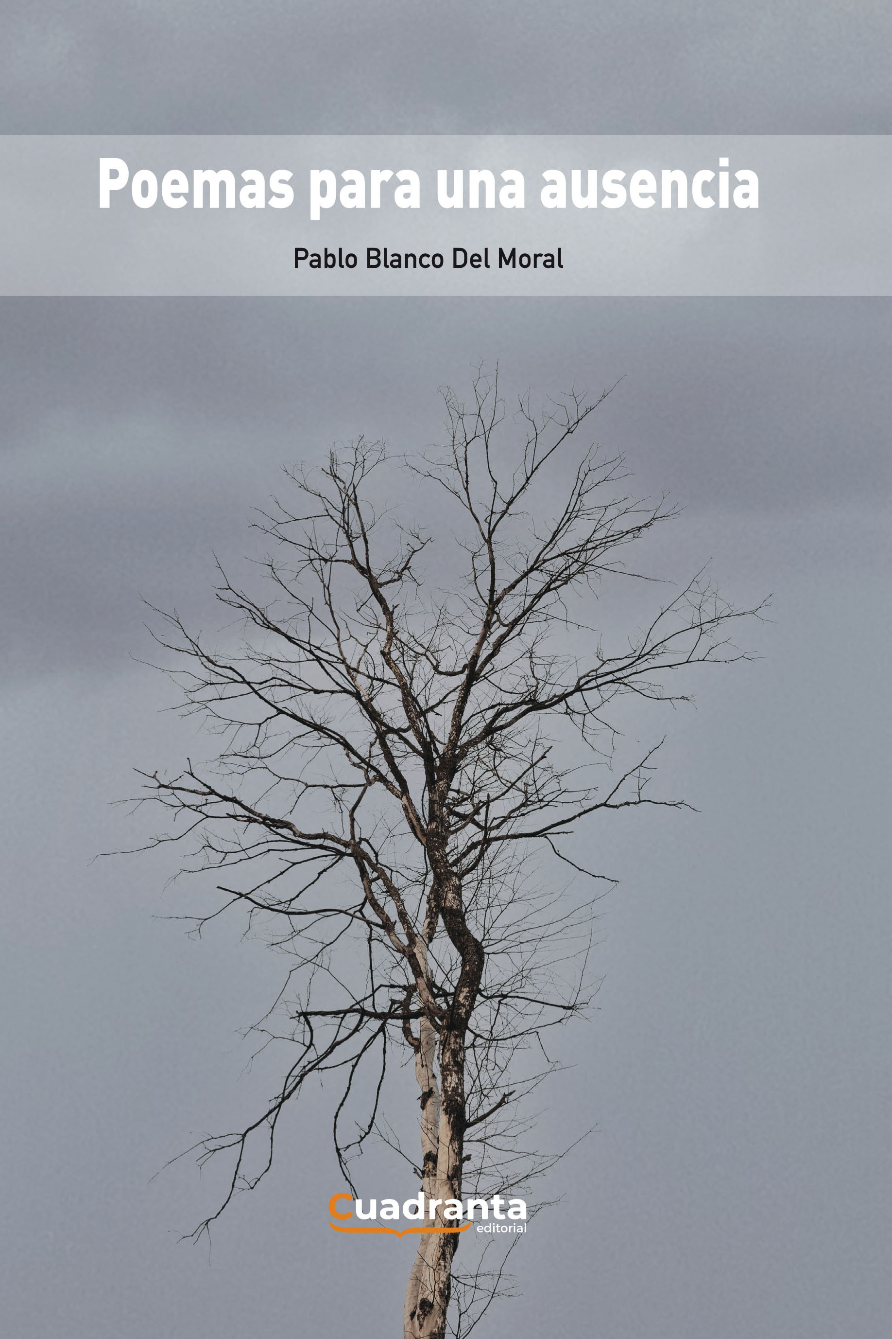 Poemas para una ausencia