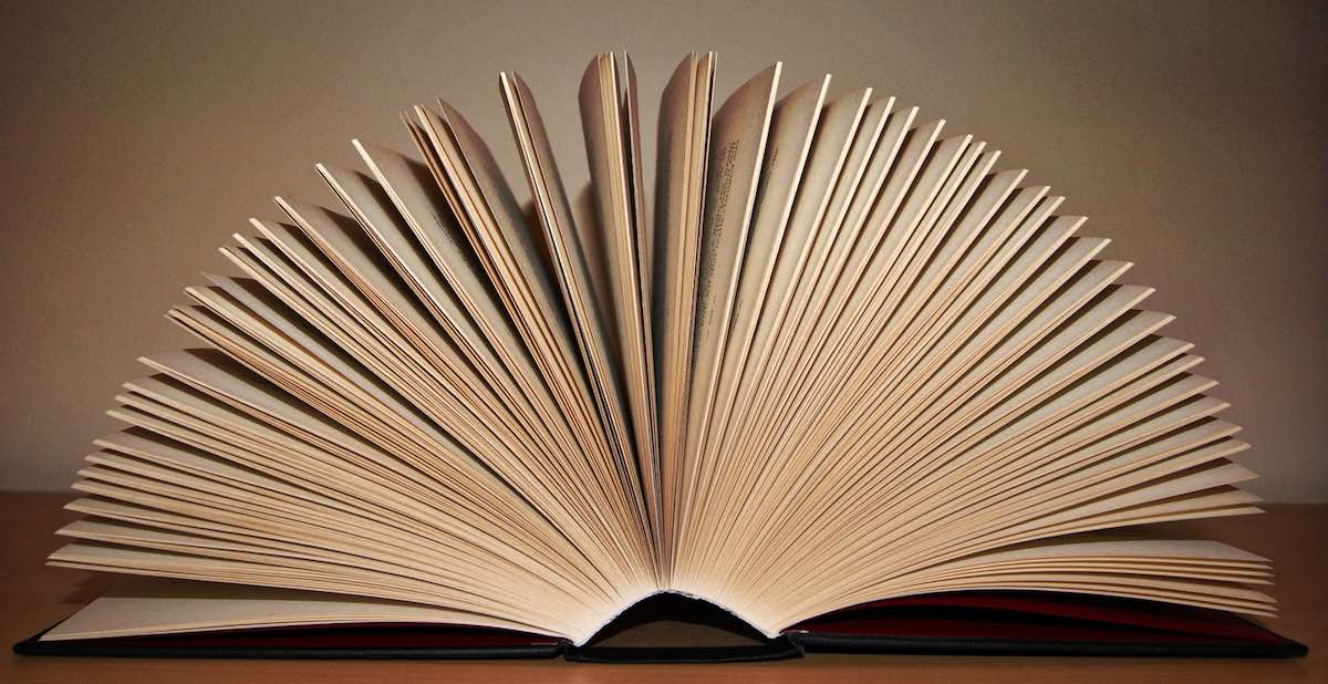 Libros recientes que enganchan desde la primera línea