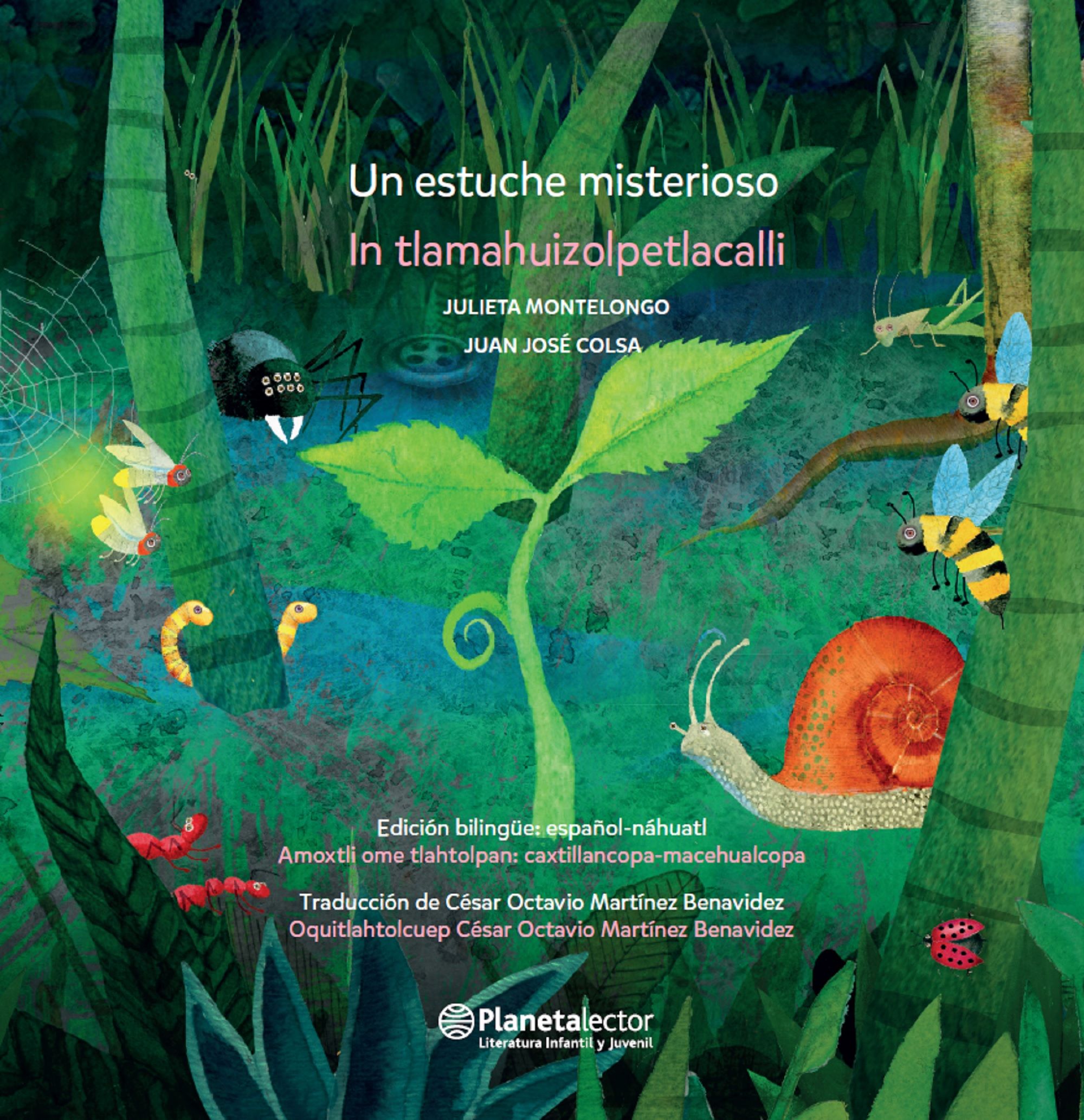 Un estuche misterioso (edición bilingüe)