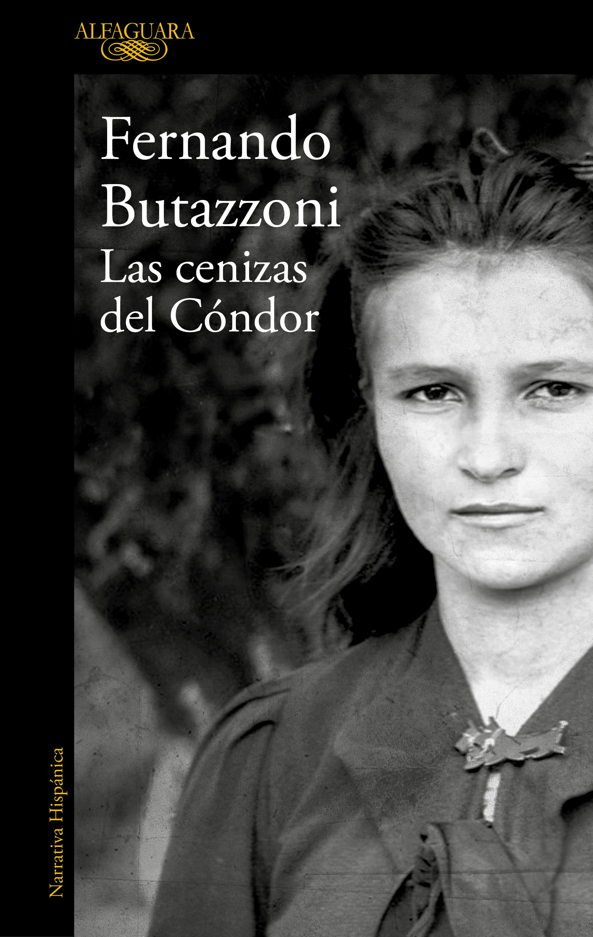 Las cenizas del condor
