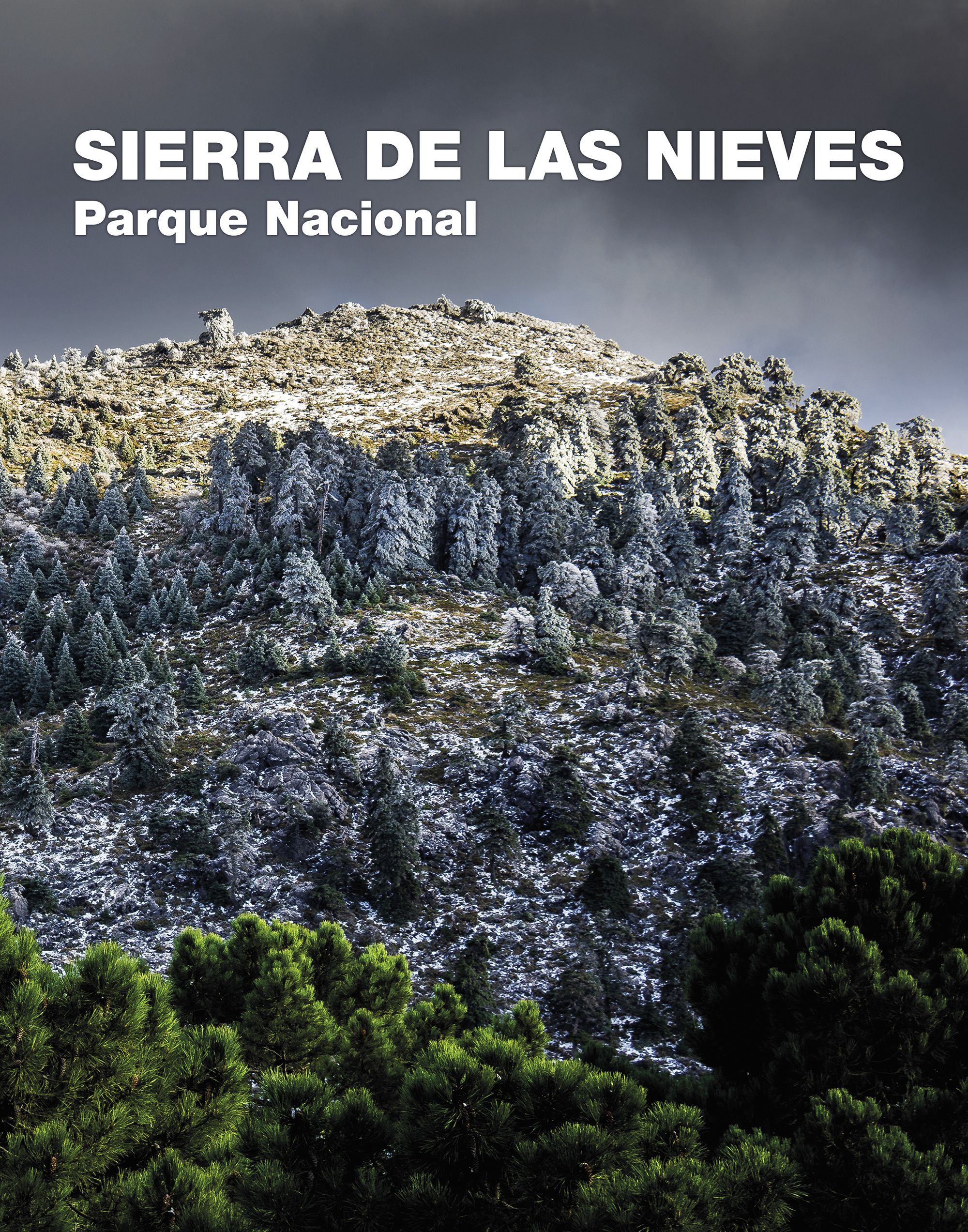 Sierra de las Nieves. Parque Nacional