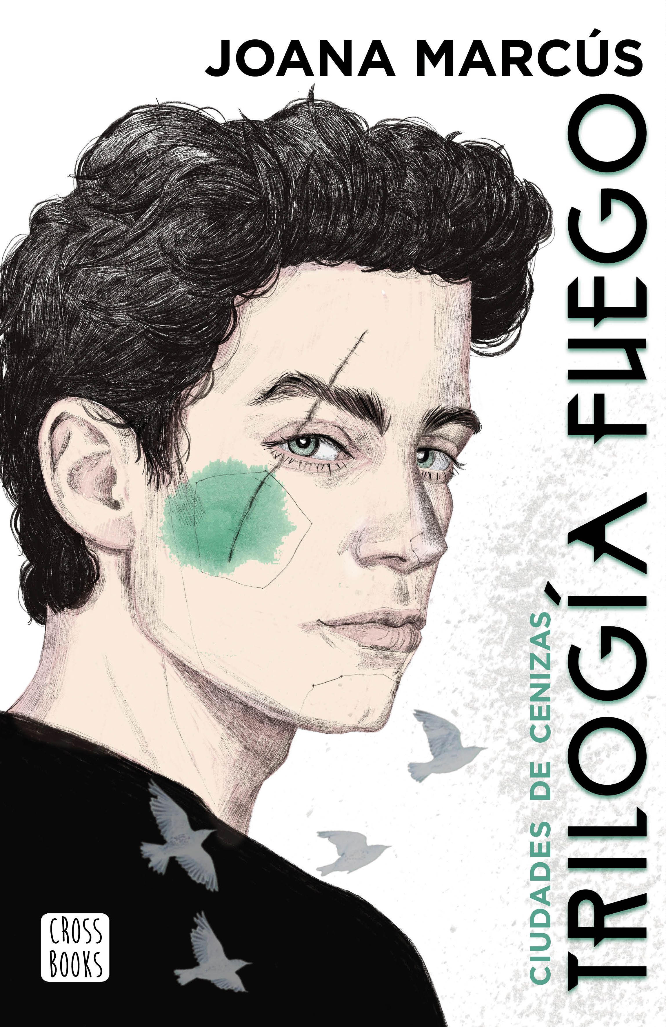 Trilogía Fuego 2. Ciudades de cenizas