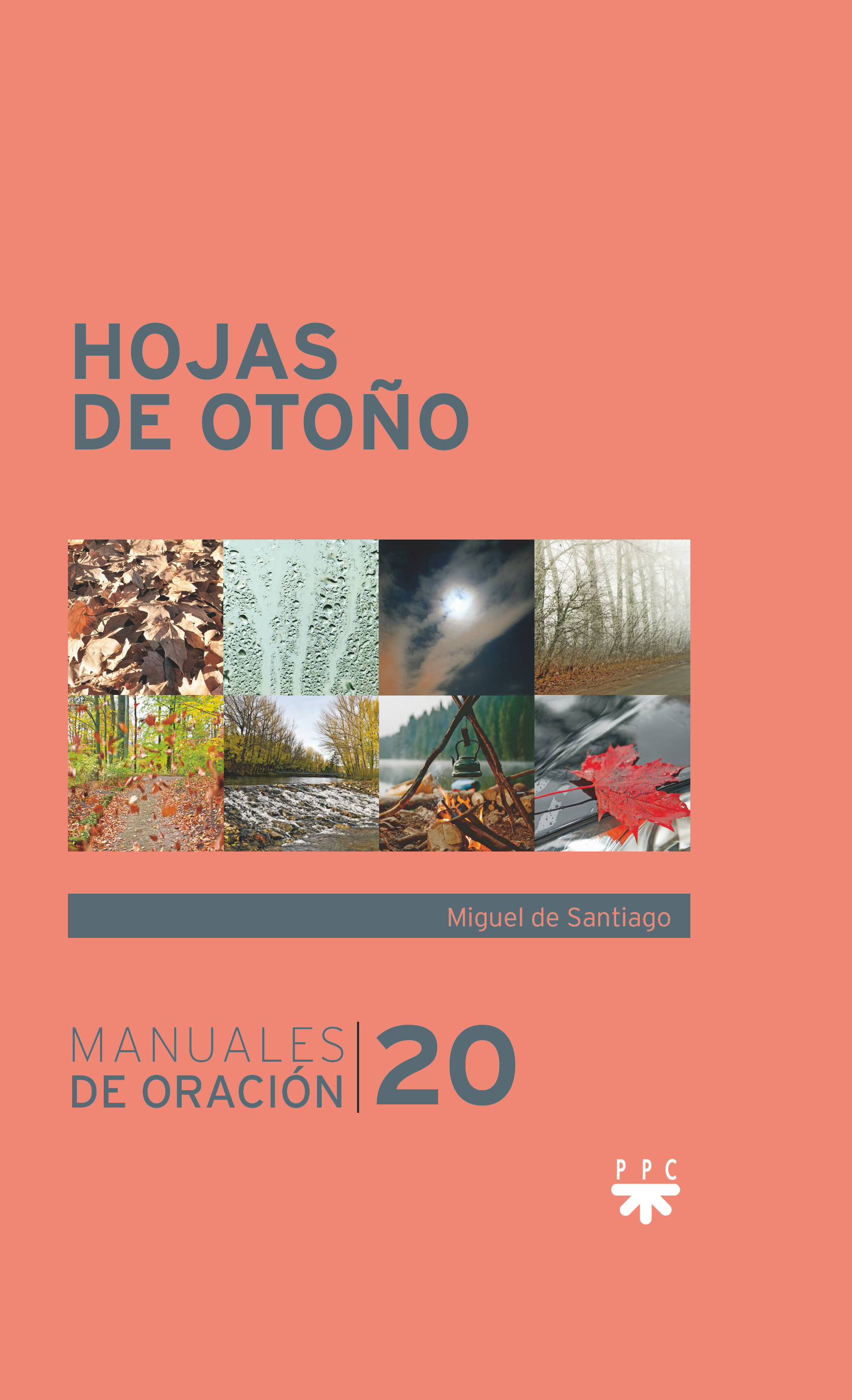 Hojas de otoño