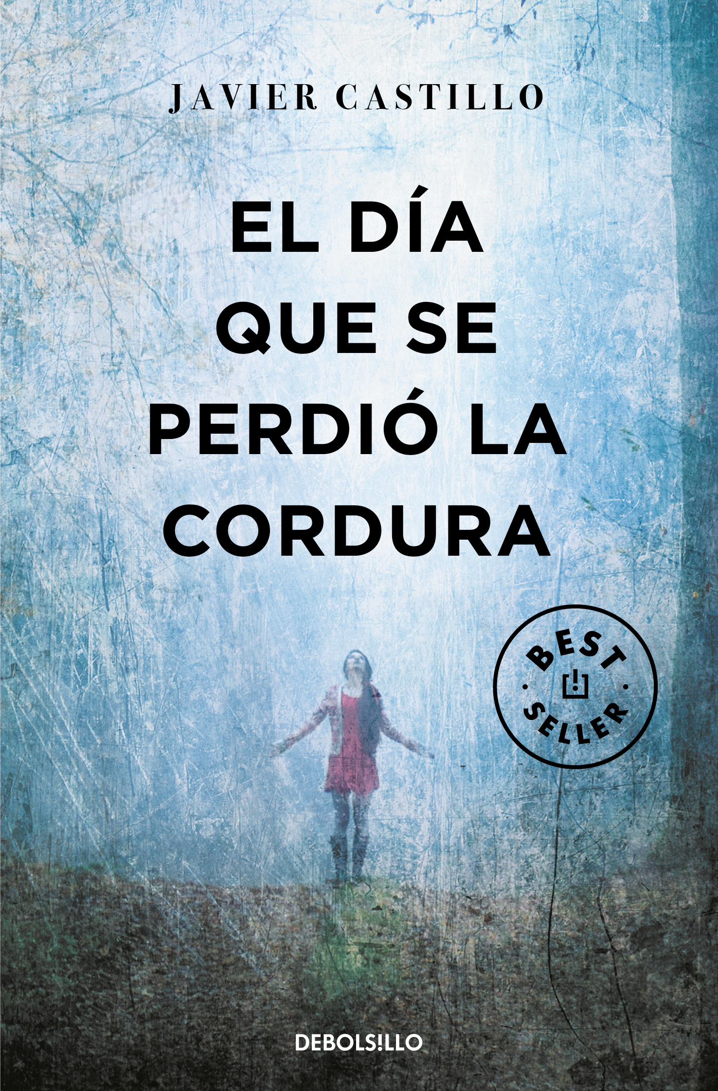 El día que se perdió la cordura