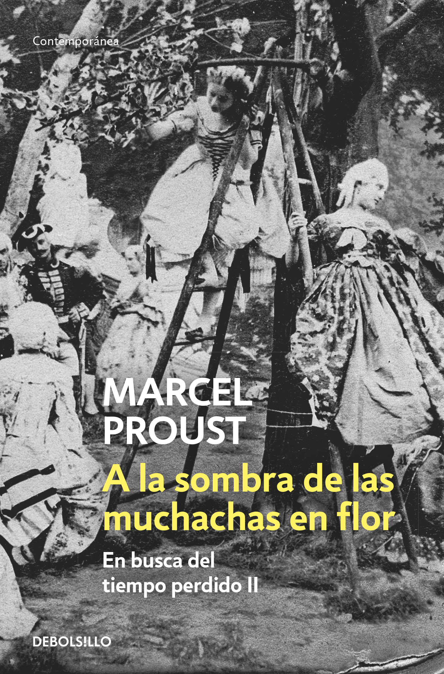 A la sombra de las muchachas en flor