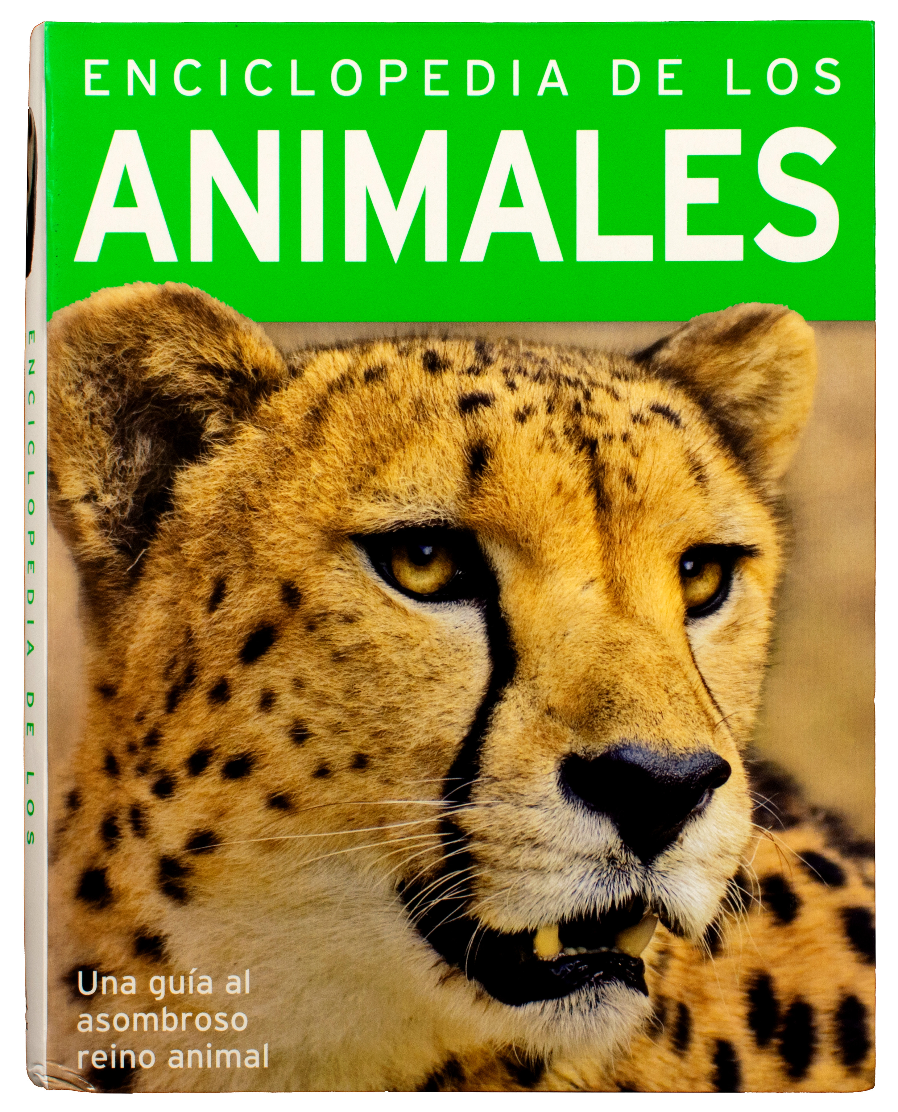 384 Paginas: Enciclopedia De Los Animales