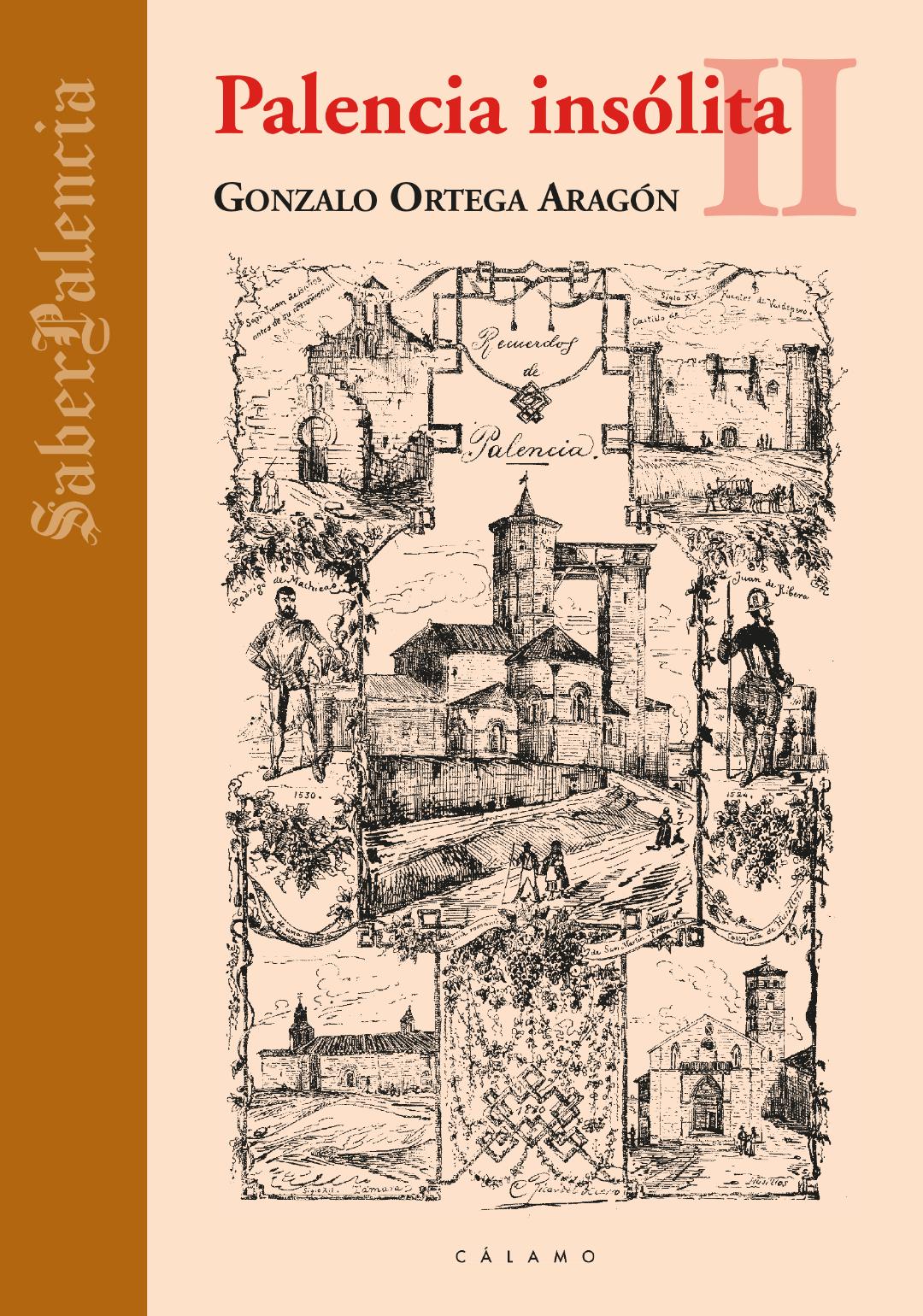 Palencia insólita II