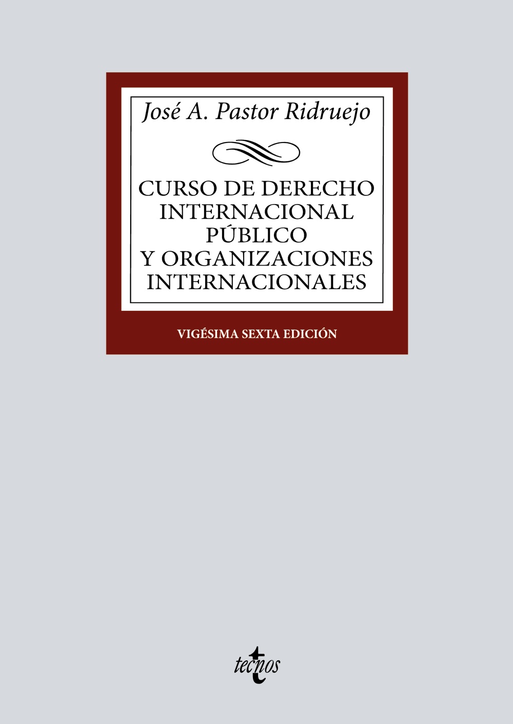 Curso de Derecho Internacional Público y Organizaciones Internacionales