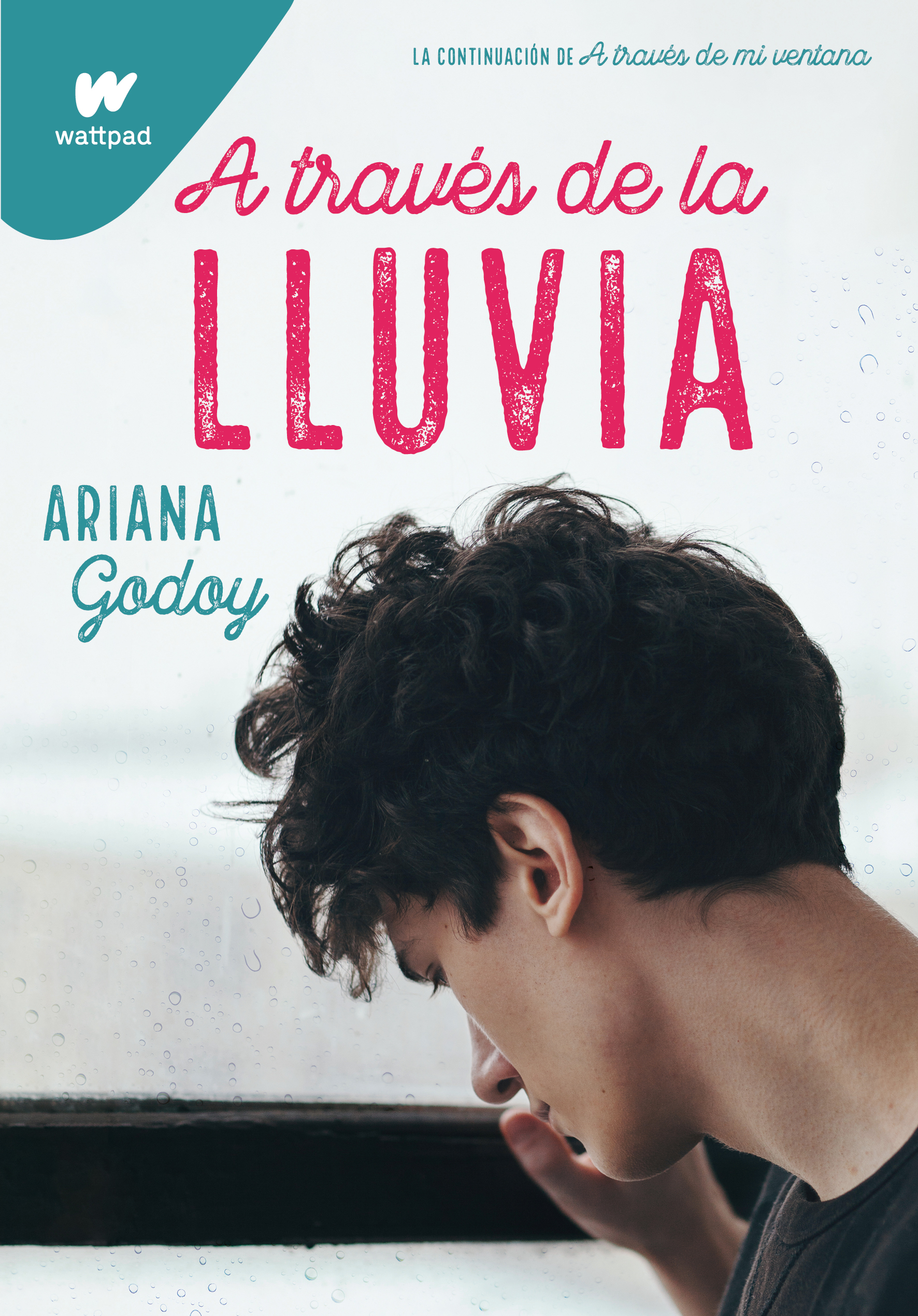A través de la lluvia ( Trilogía Hermanos Hidalgo 3 )