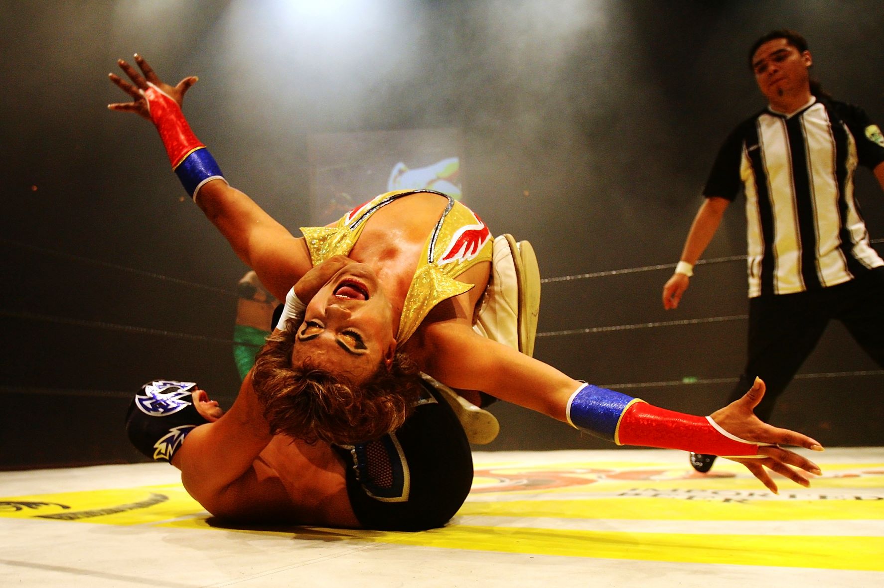 Los mejores libros sobre lucha libre