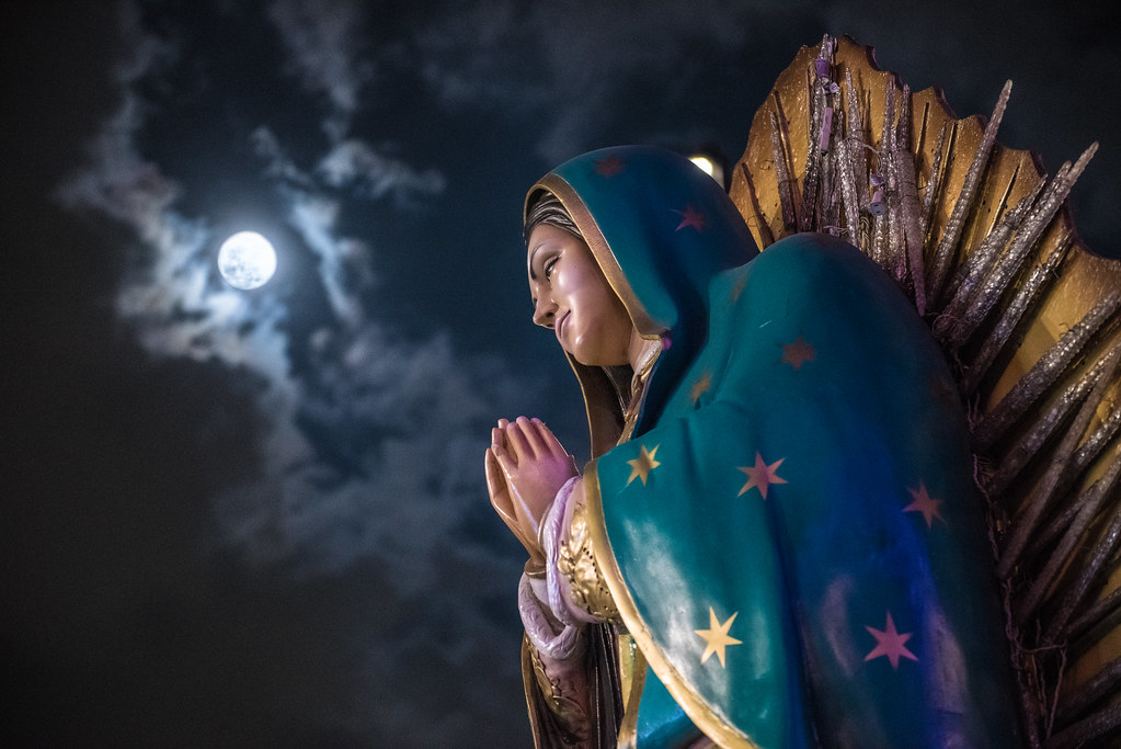 Los mejores libros sobre la Virgen de Guadalupe