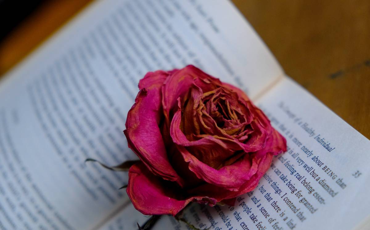 Los mejores libros de los autores que nos han dejado en 2022