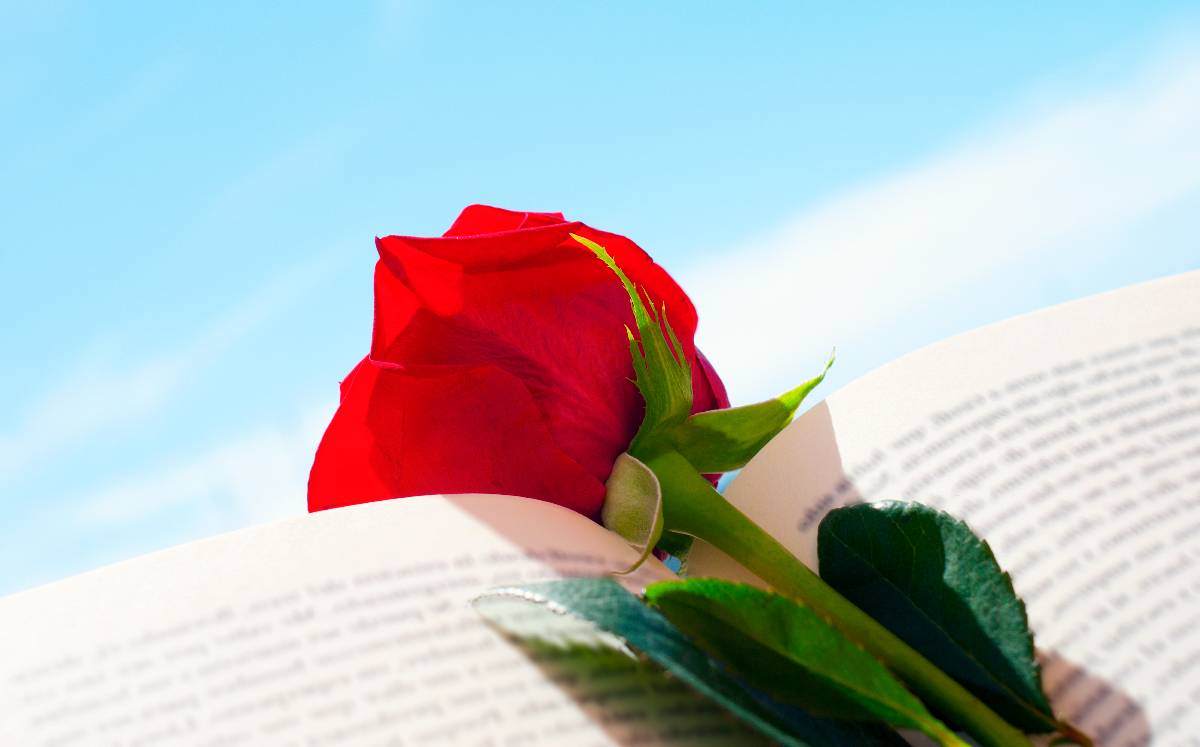 Doce libros para celebrar el Día del Libro, escogidos por nuestros lectores