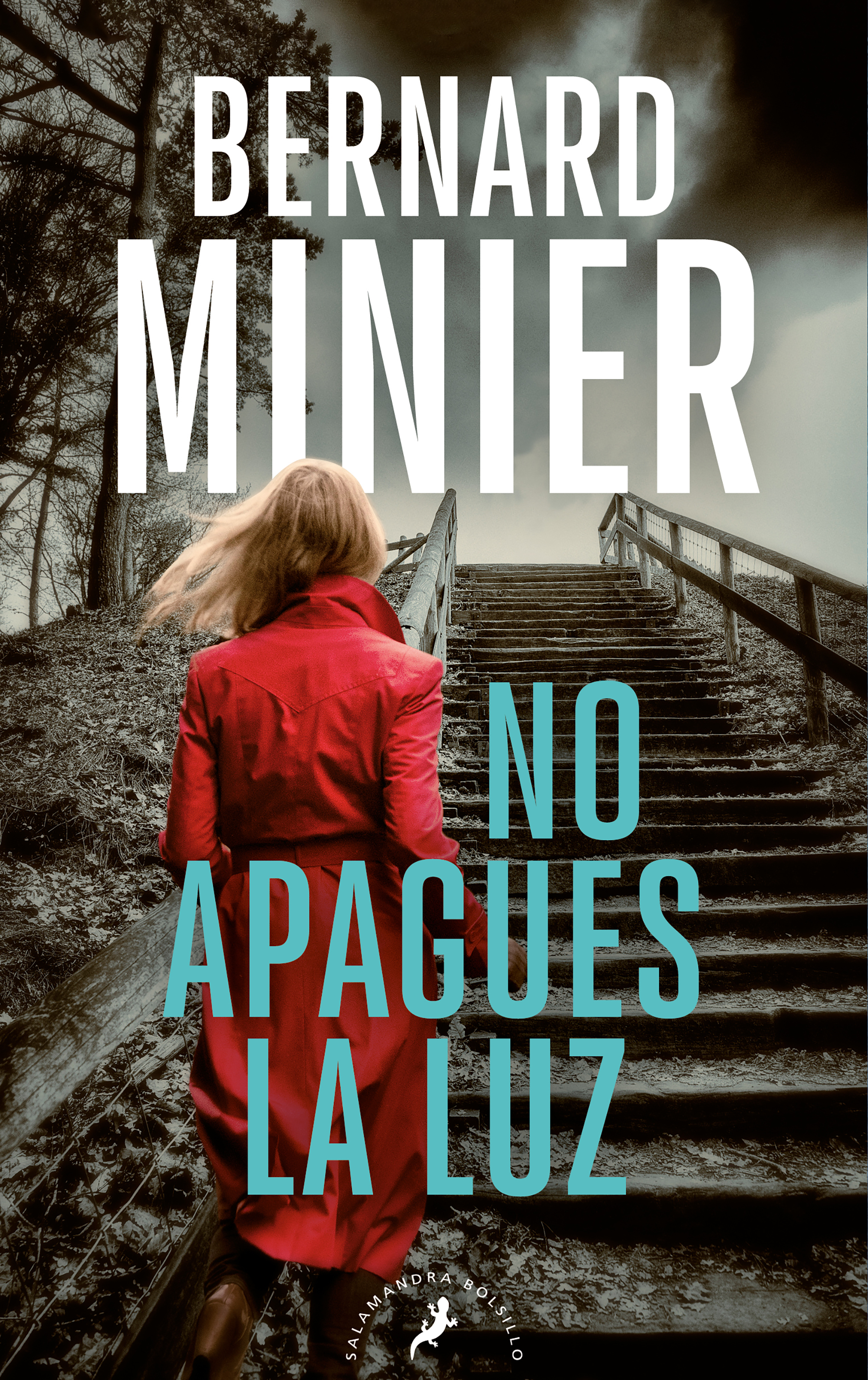 No apagues la luz (Serie comandante Servaz 3)