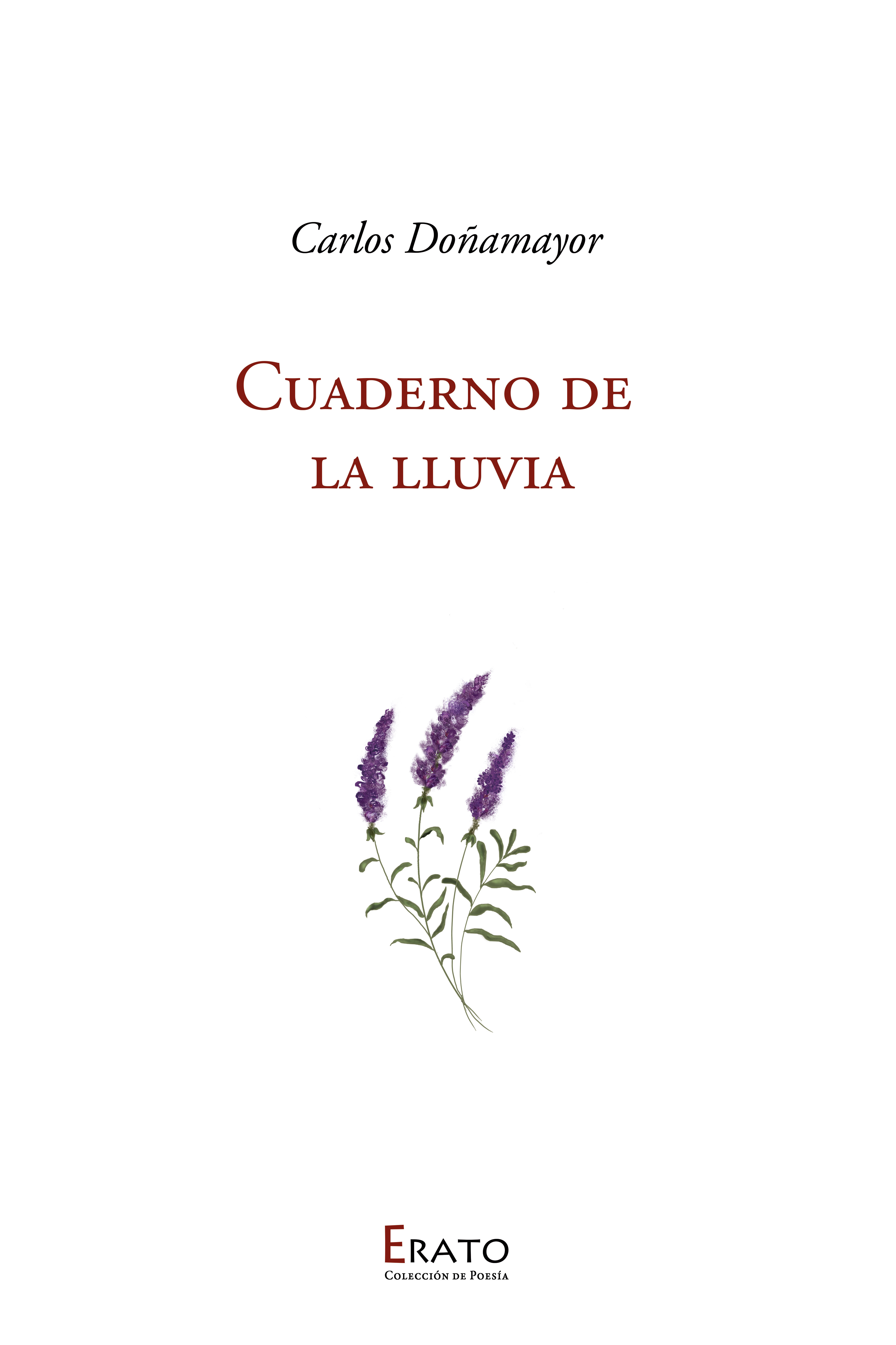 Cuaderno de la Lluvia