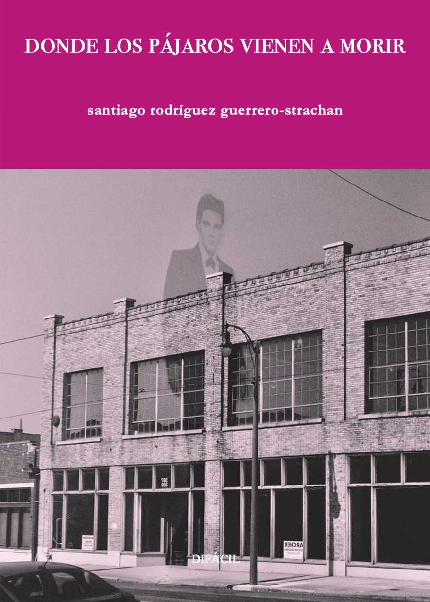 Donde los pájaros vienen a morir