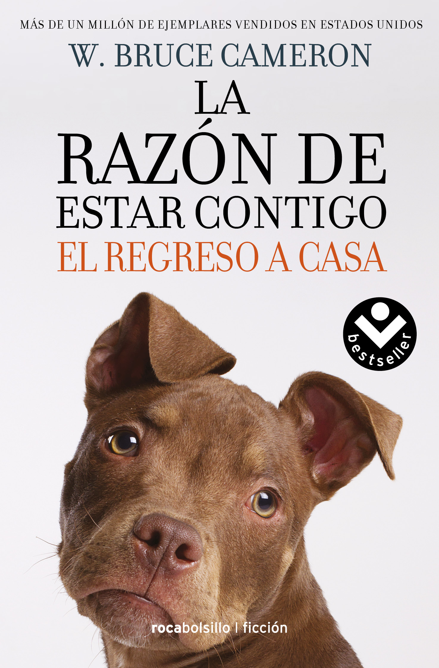 La razón de estar contigo 3 - El regreso a casa