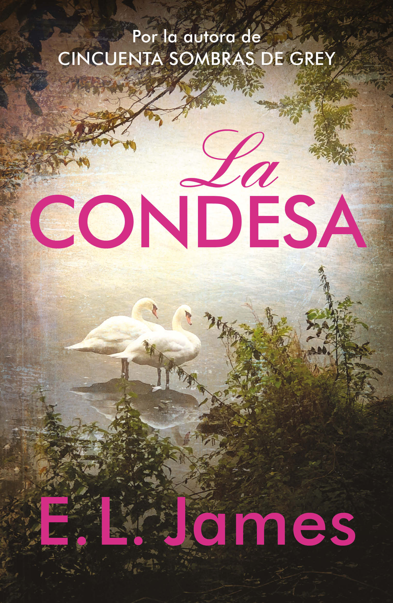 La condesa ( Mister 2 )