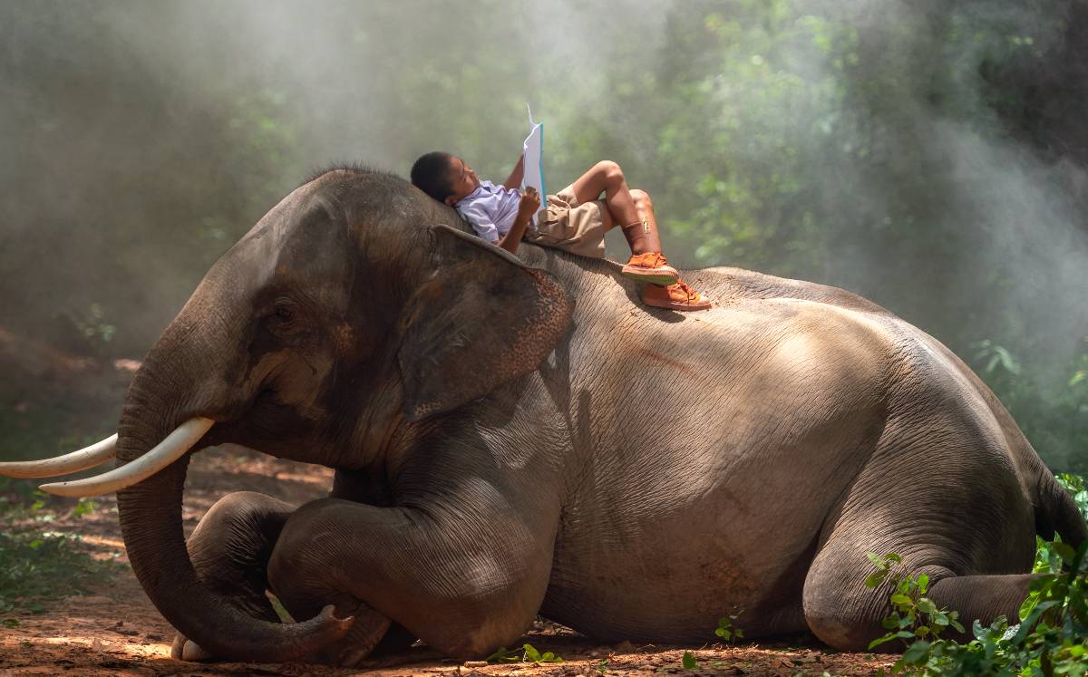 Libros imprescindibles para los amantes de los animales