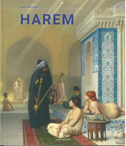Flexi Lady: Harem