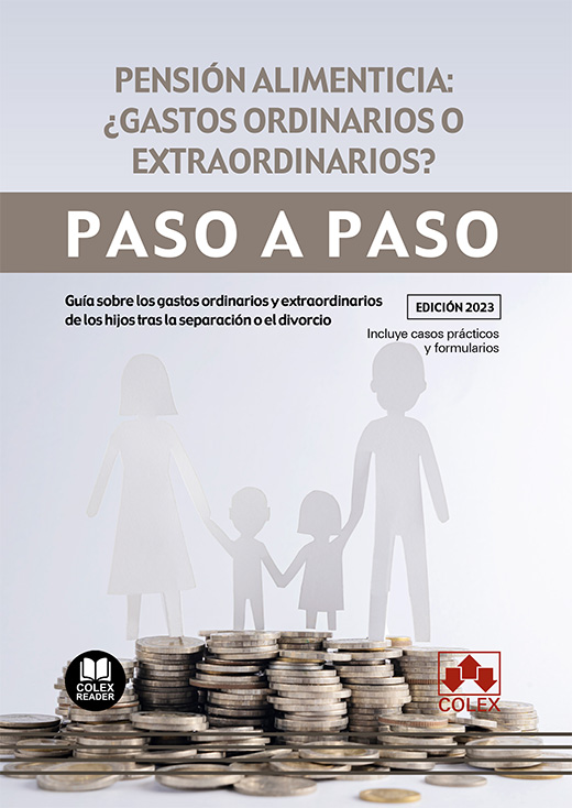 Pensión alimenticia: ¿gastos ordinarios o extraordinarios?. Paso a paso