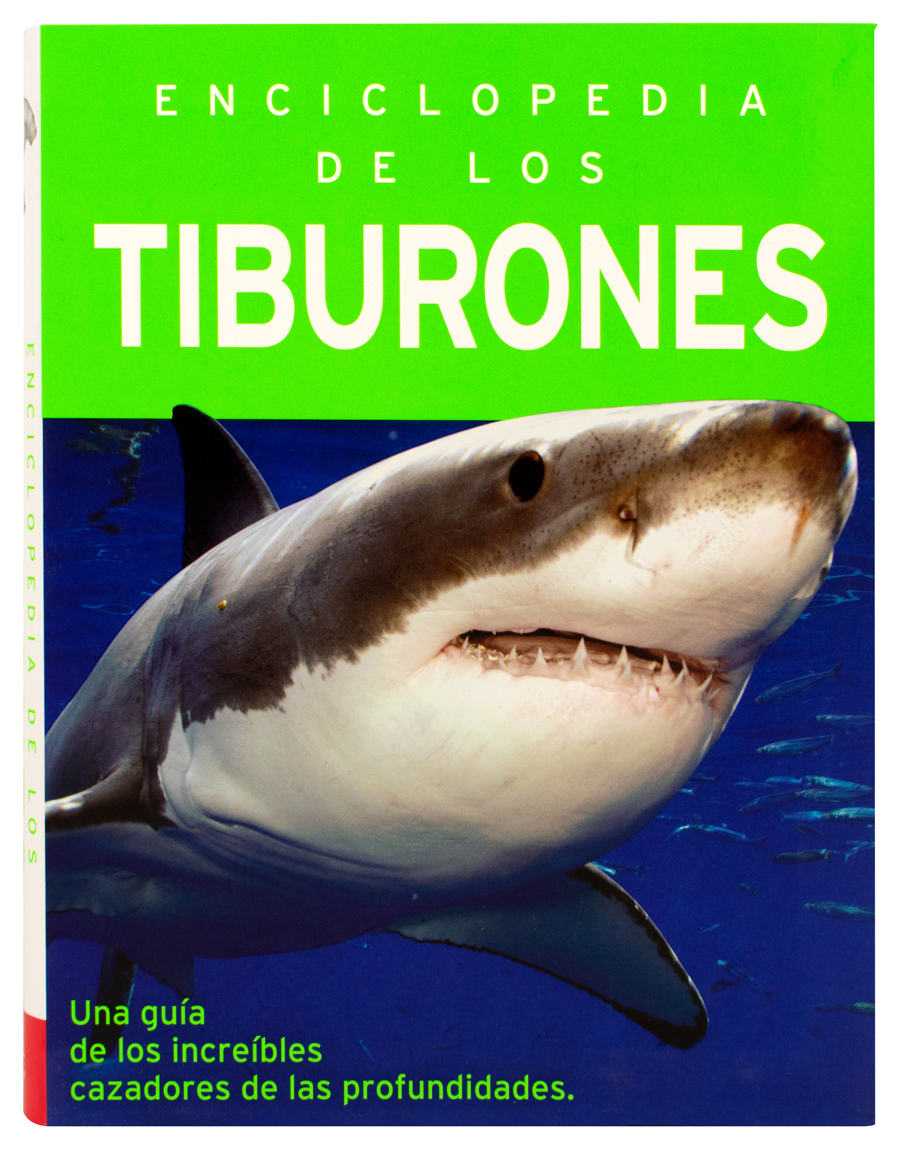 Enciclopedia infantil: 384 Paginas enciclopedia de los tiburones