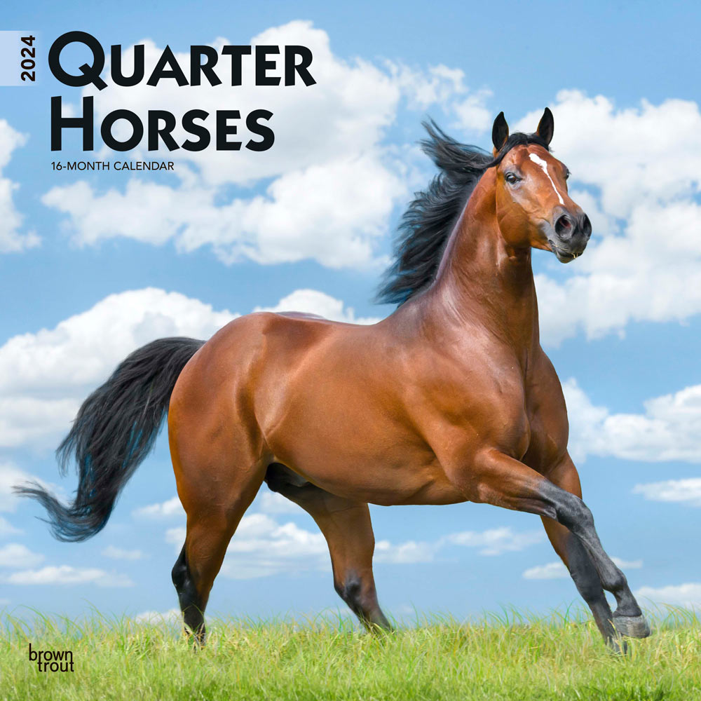 Calendario de pared: Quarter Horses 2024 SQUARE- BROWNTROUT