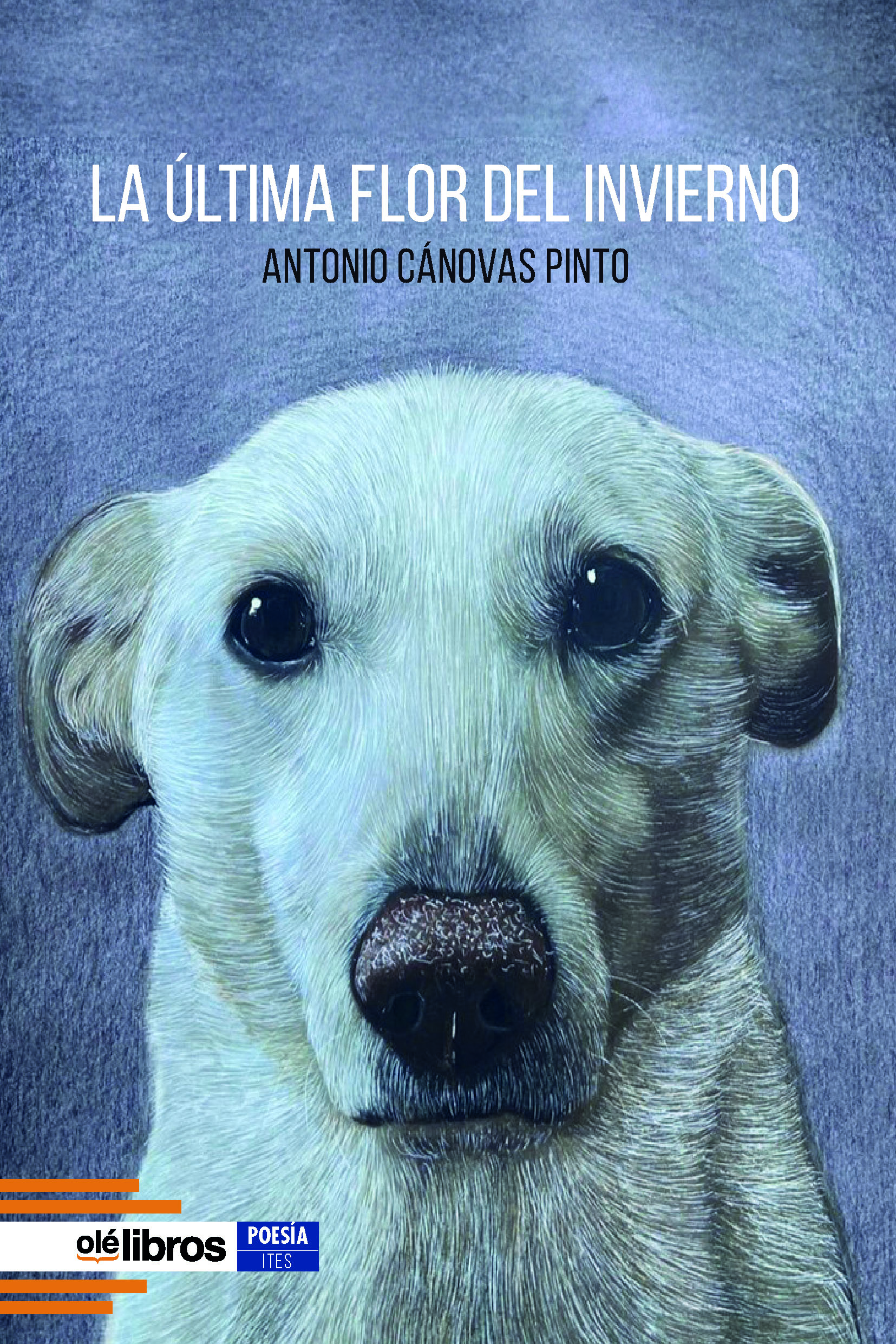 La última flor del invierno