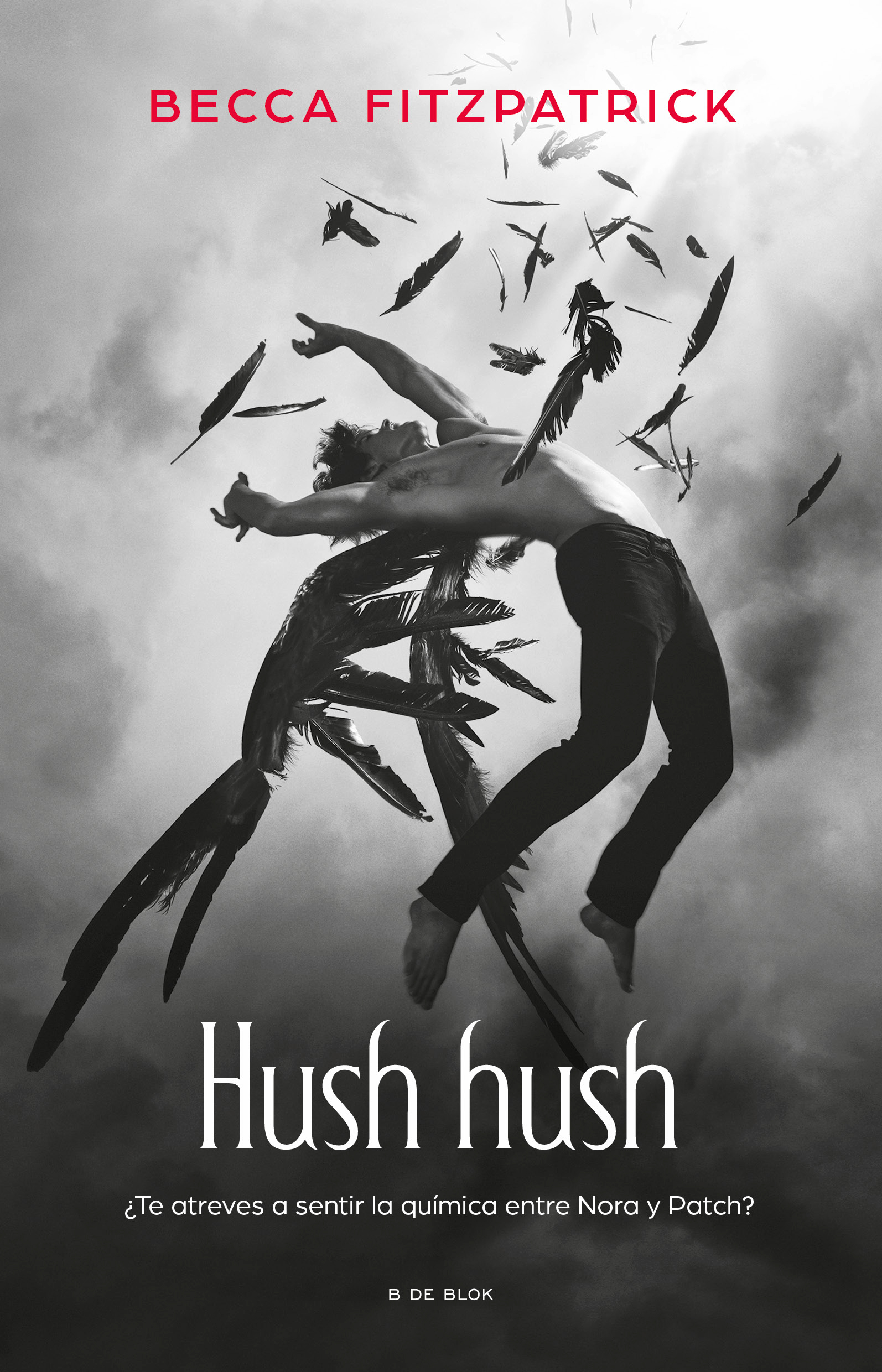 Hush, hush ( Saga Hush, Hush 1 )